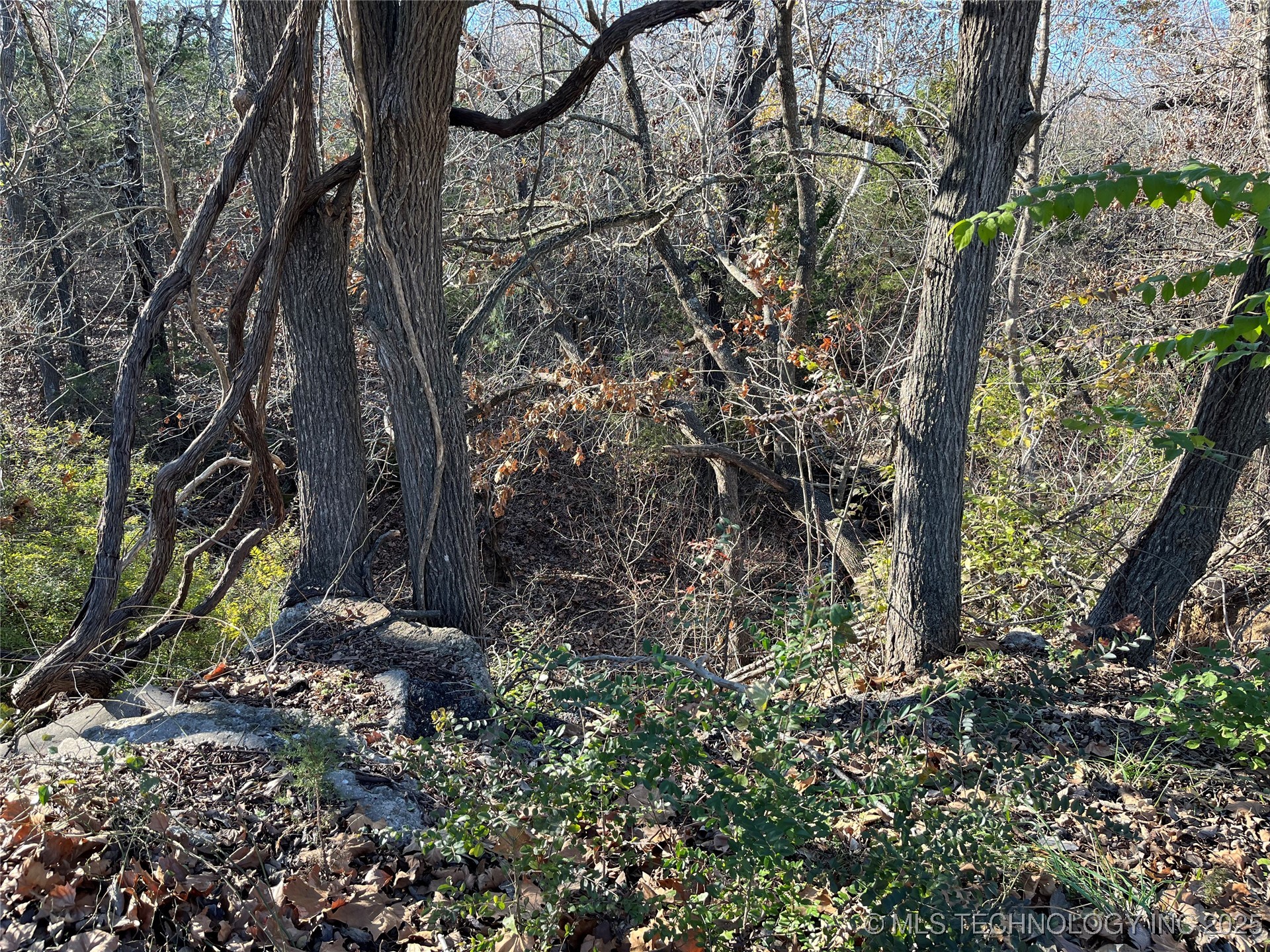 1319 Wolfe Property Photo 6