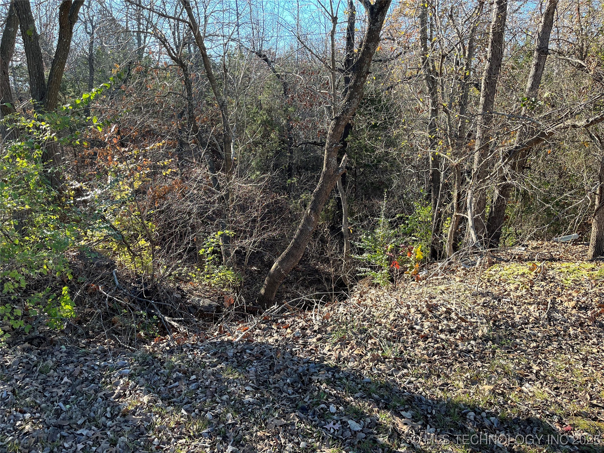 1319 Wolfe Property Photo 7