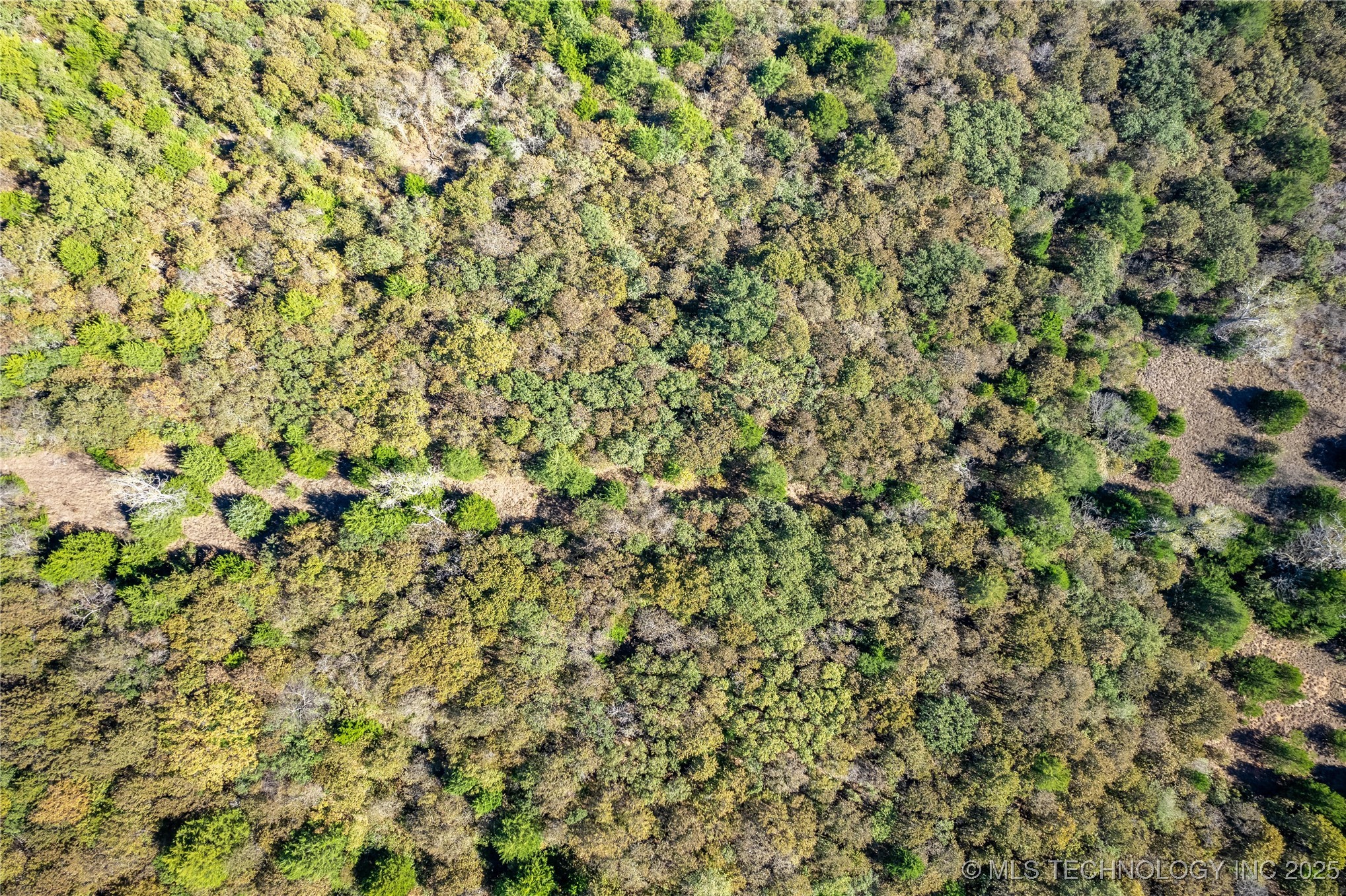 Se 134th Street Property Photo 29