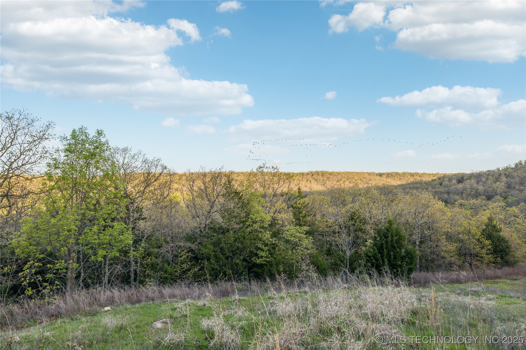 103 Indian Station Road Property Photo 21