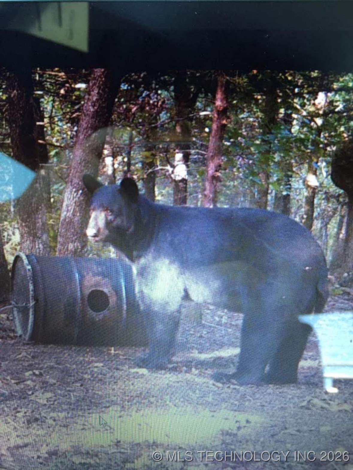 1 Hulsey Prairie Property Photo 5