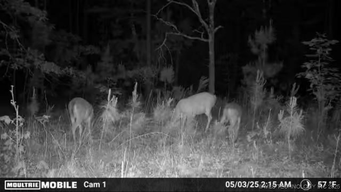 1 Hulsey Prairie Property Photo 7