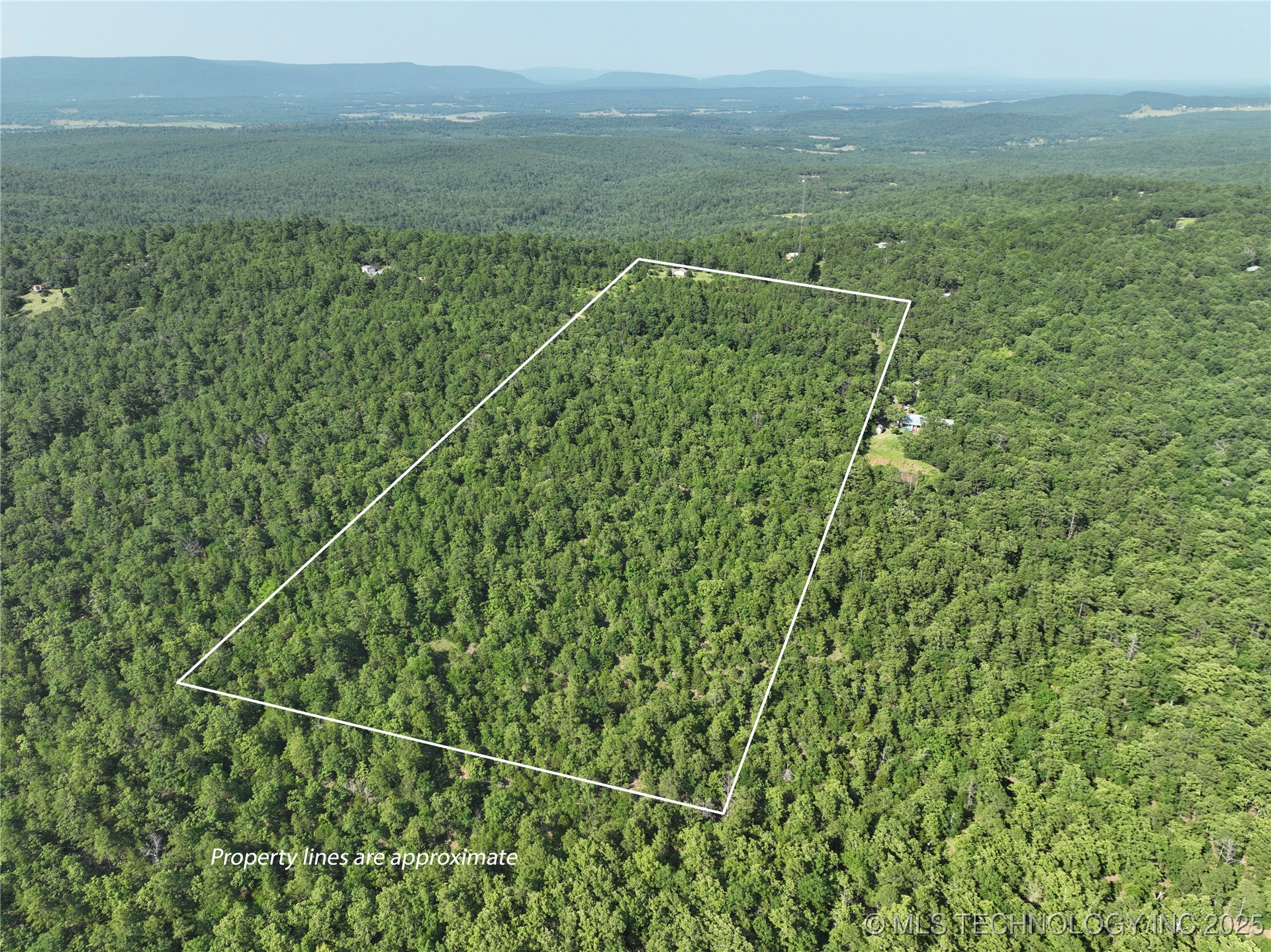 2 Hulsey Prairie Property Photo 5