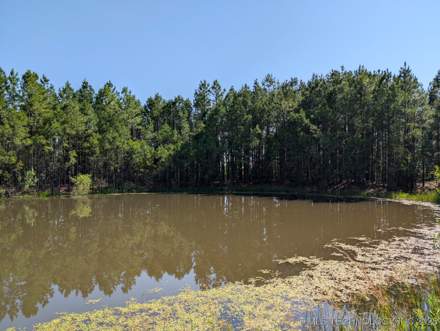 2 Hulsey Prairie Property Photo 10