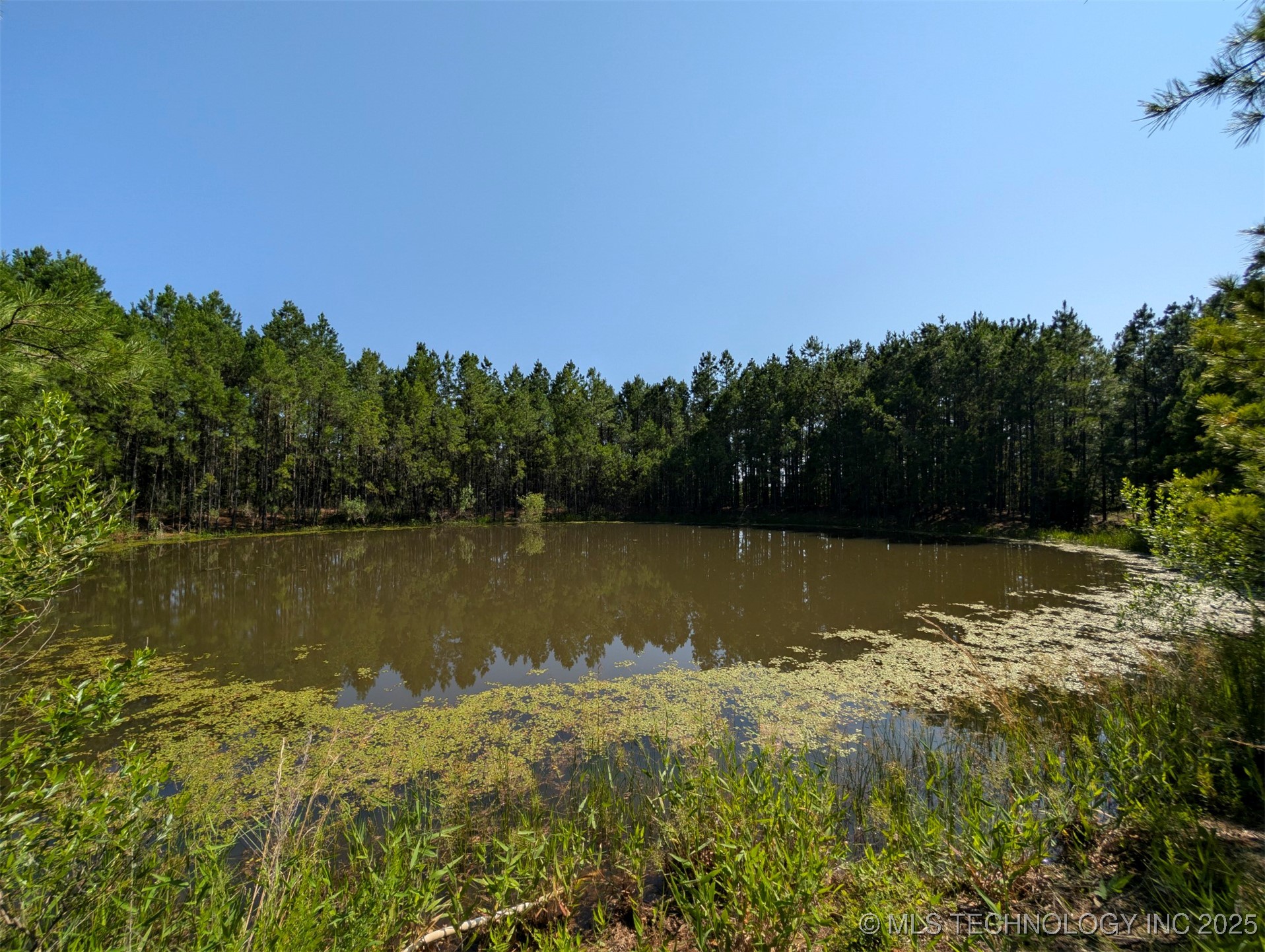 2 Hulsey Prairie Property Photo 11