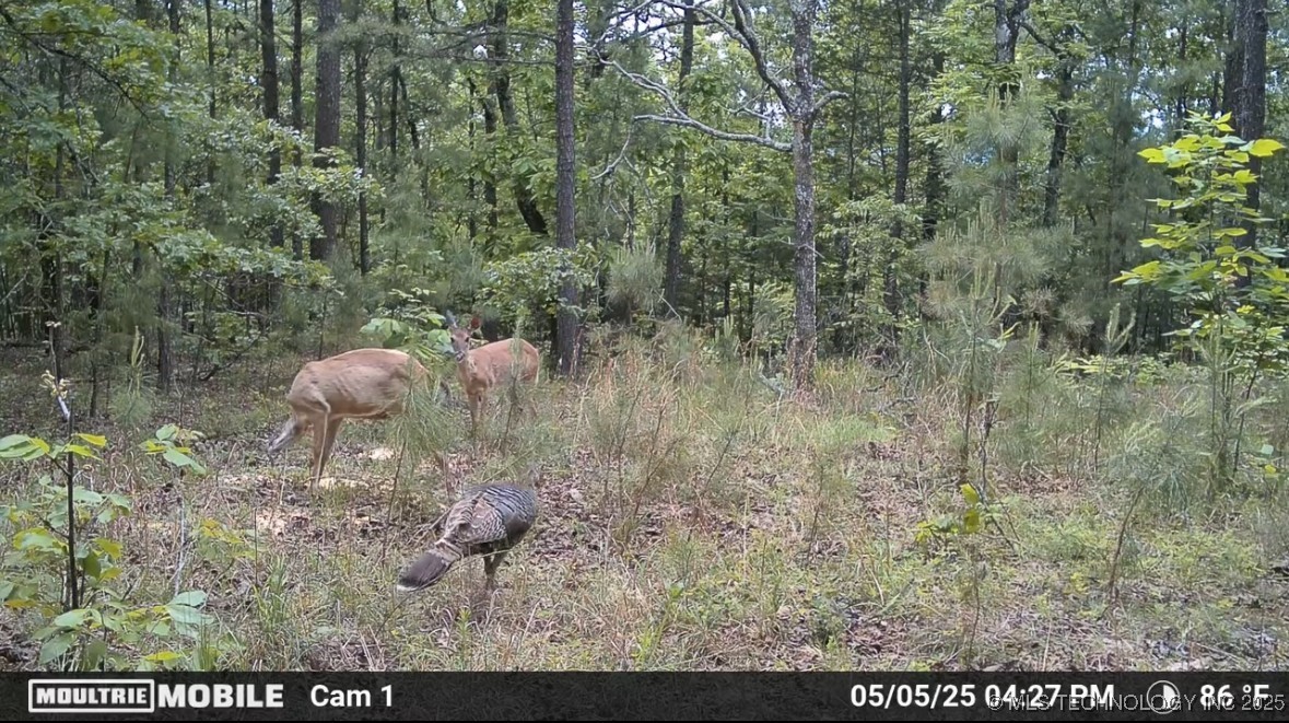 2549423 Property Photo 5