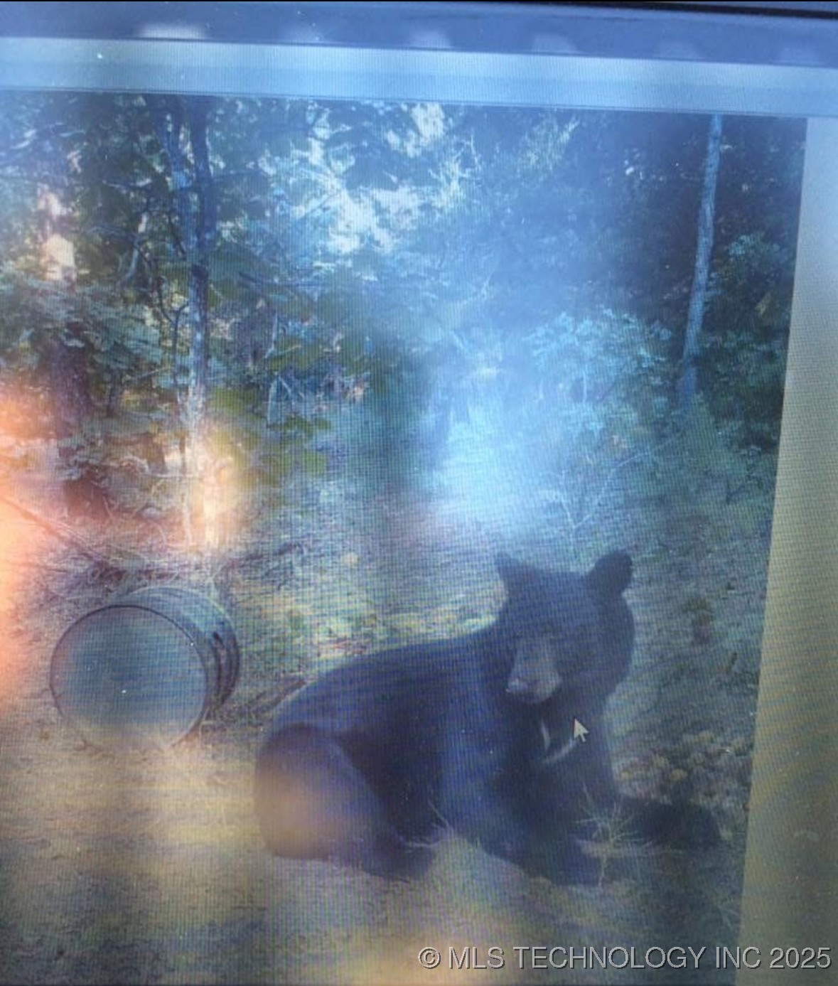 2549423 Property Photo 6