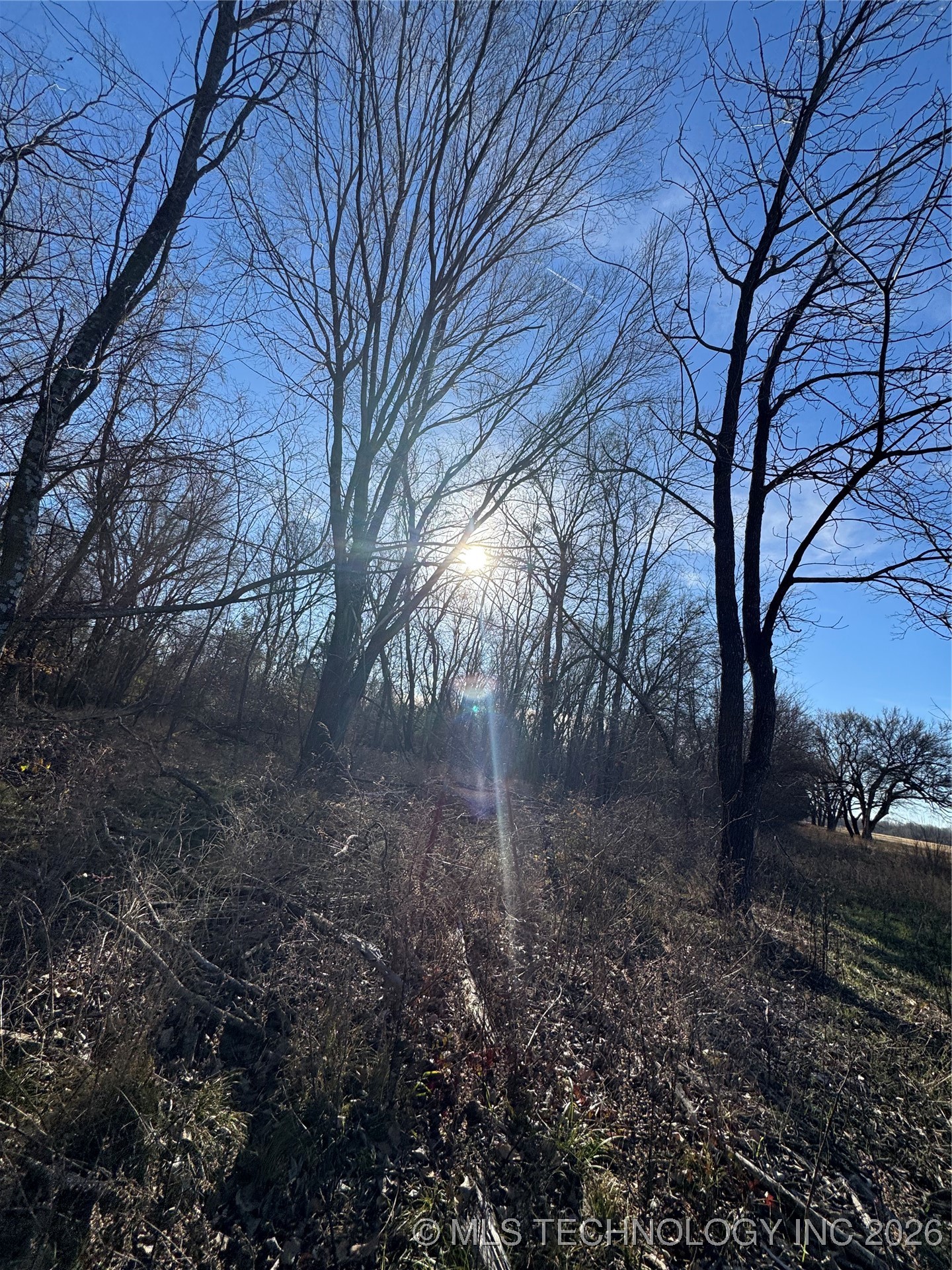 20 E Texanna Property Photo 3