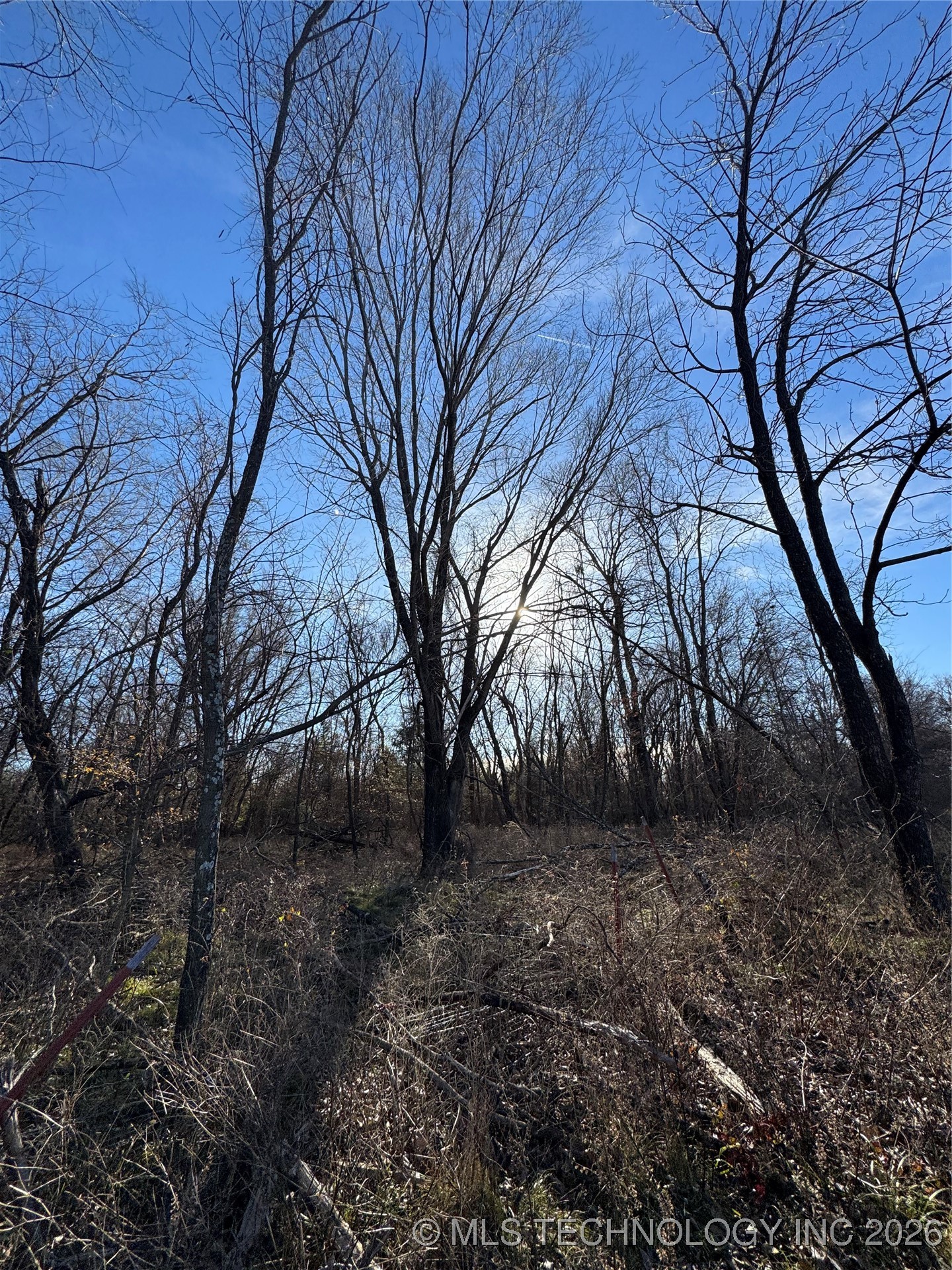 20 E Texanna Property Photo 4