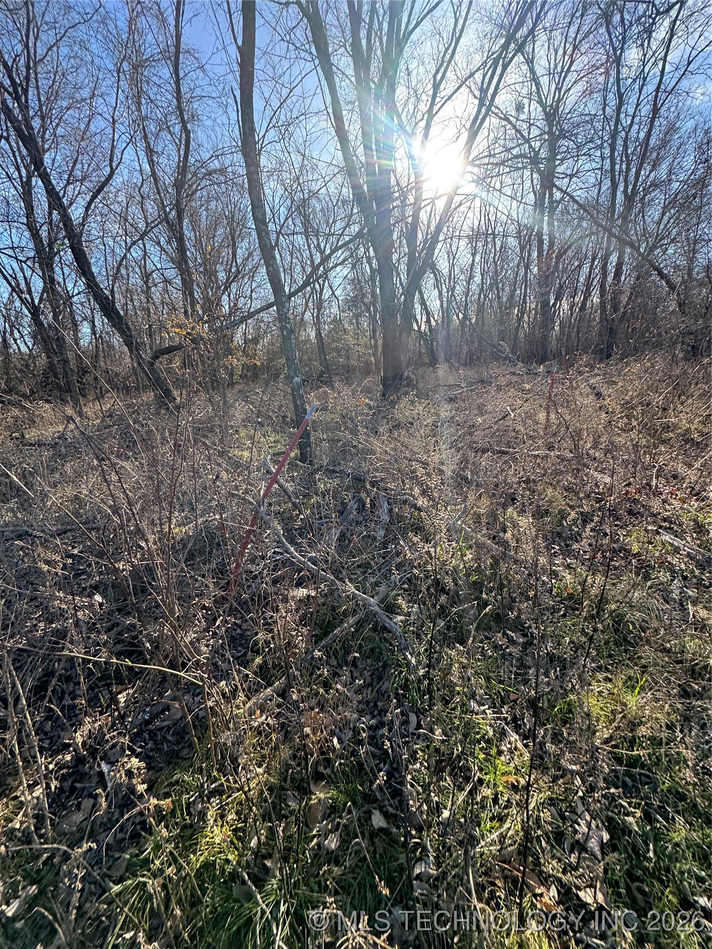 20 E Texanna Property Photo 5