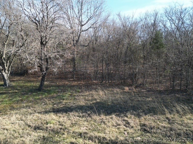 20 E Texanna Property Photo 20