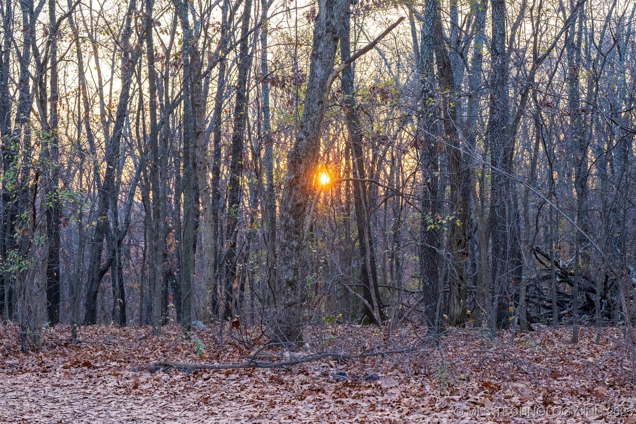 6594 E 563 Road Property Photo 8