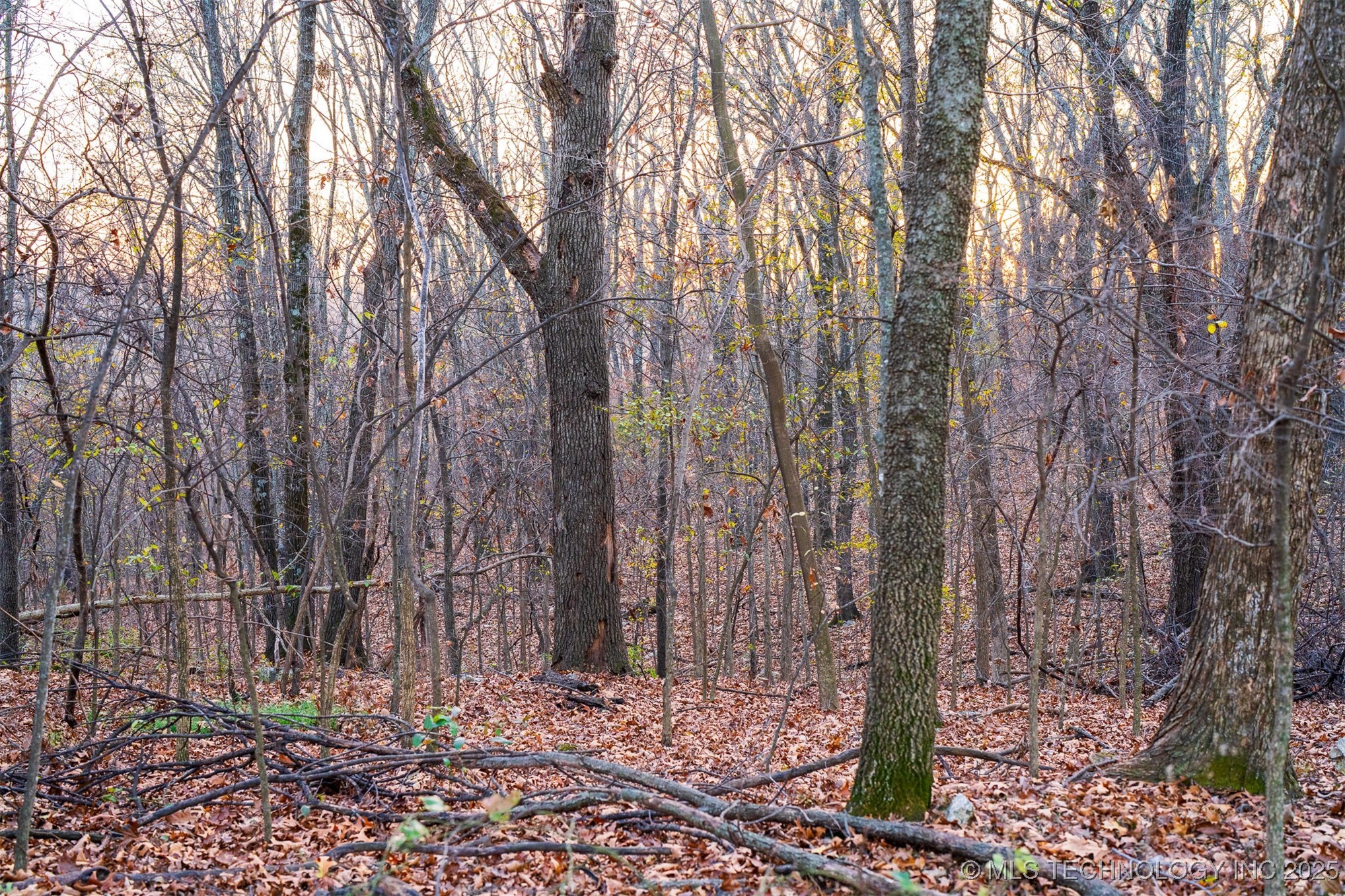 6594 E 563 Road Property Photo 17