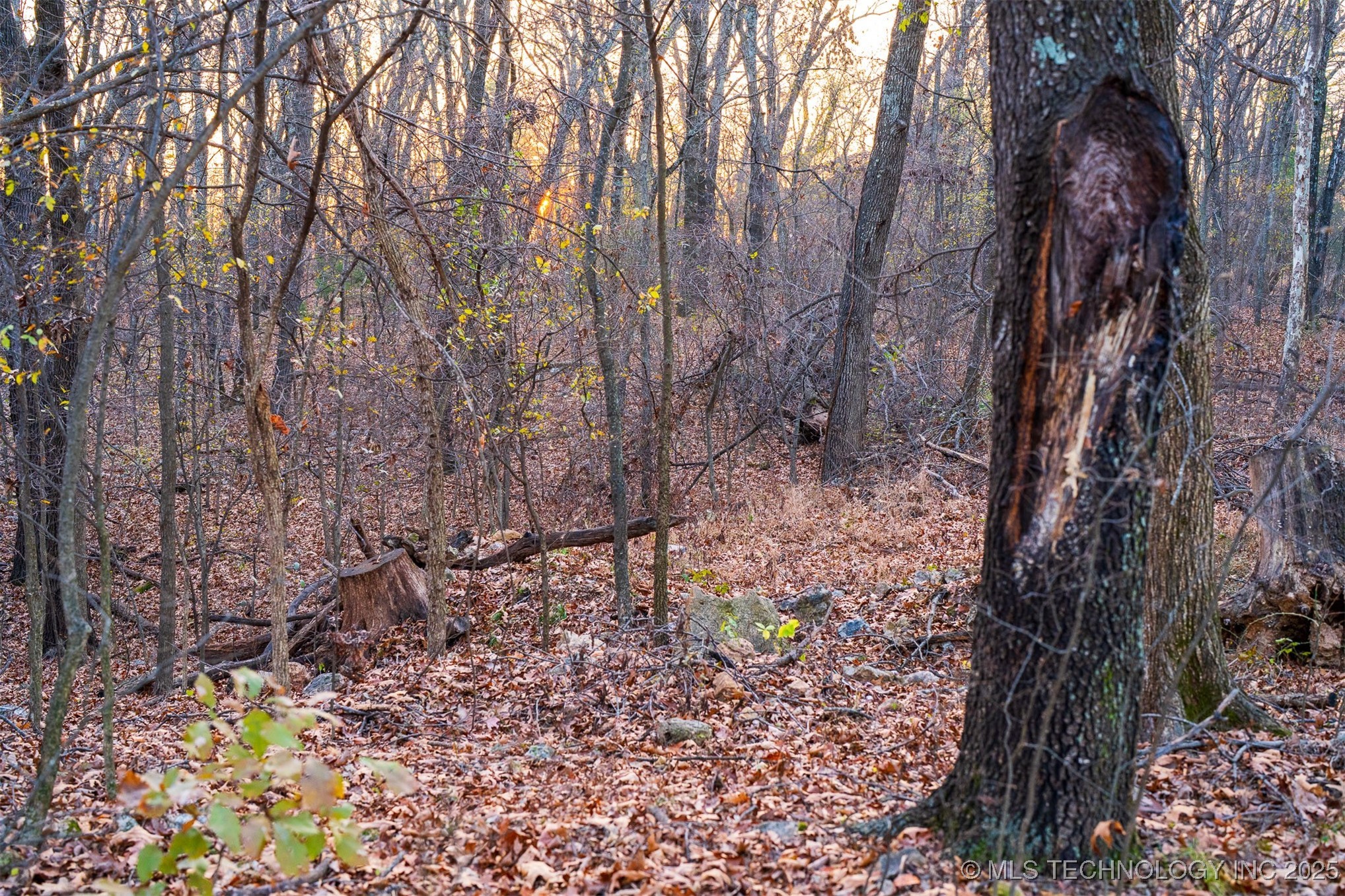 6594 E 563 Road Property Photo 18