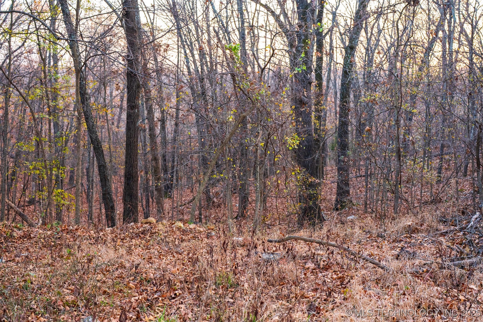 6594 E 563 Road Property Photo 19