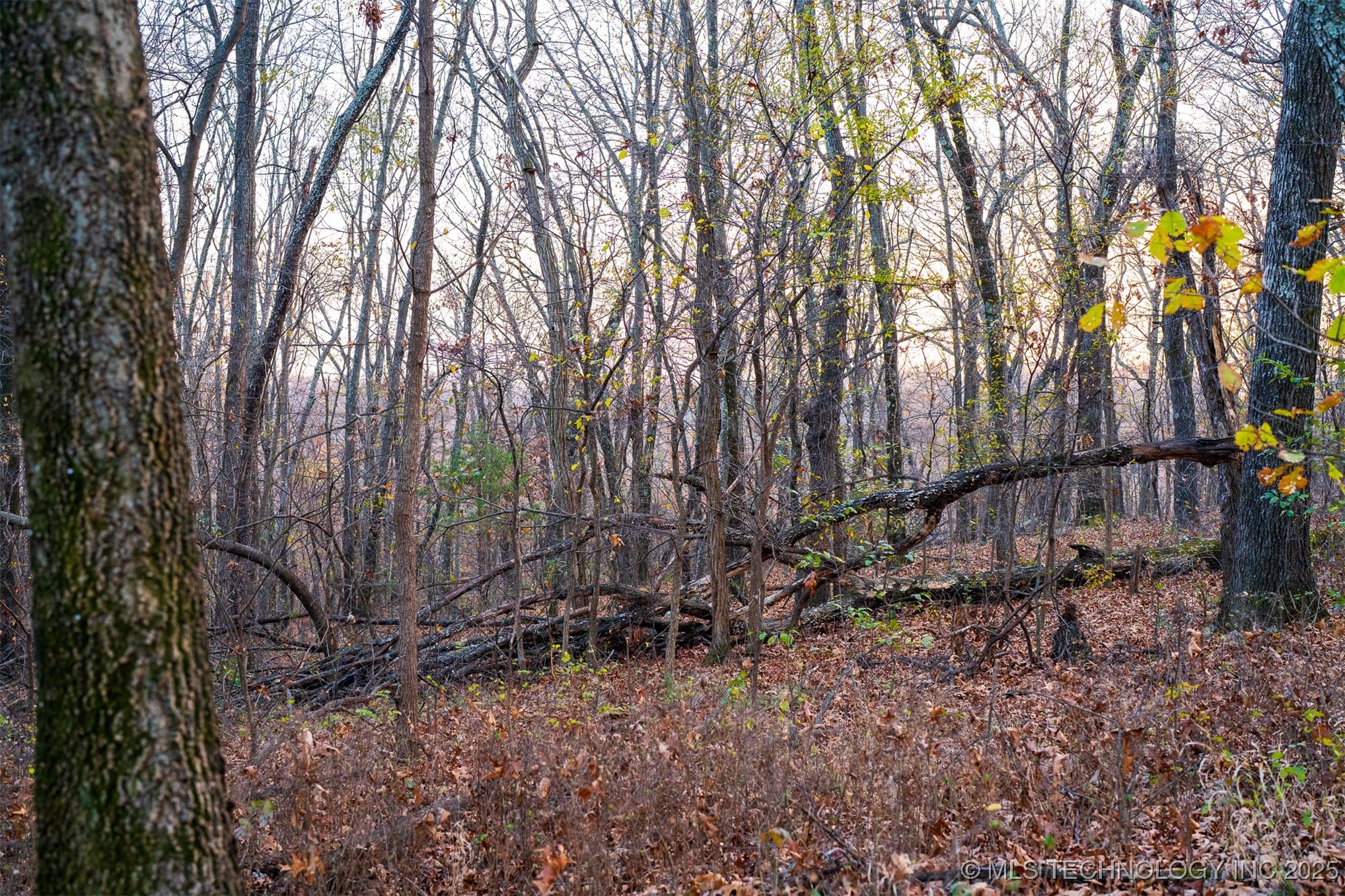 6594 E 563 Road Property Photo 20