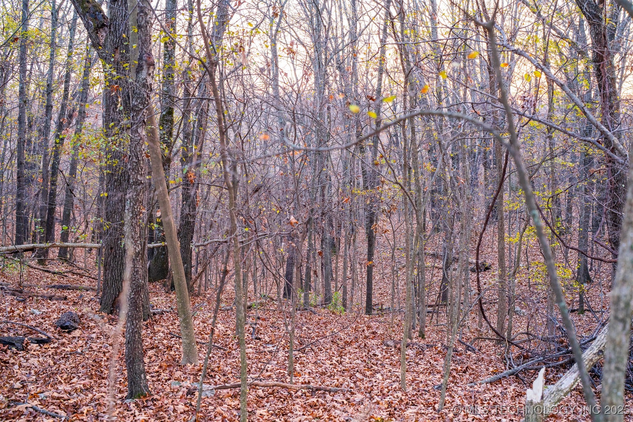 6594 E 563 Road Property Photo 23