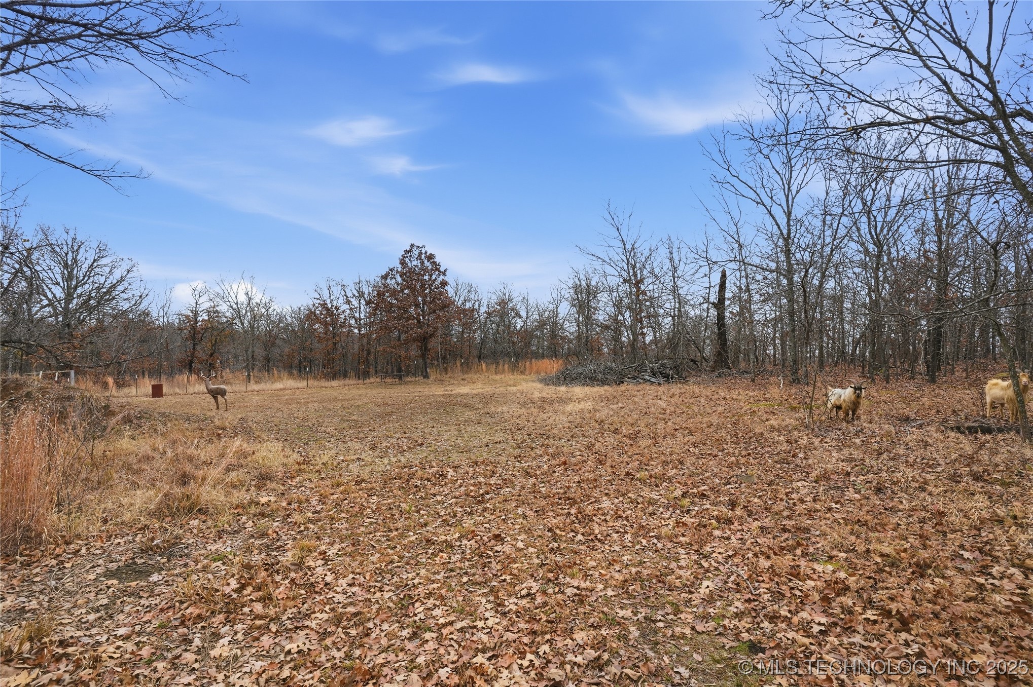 14215 E 208th Street Property Photo 86