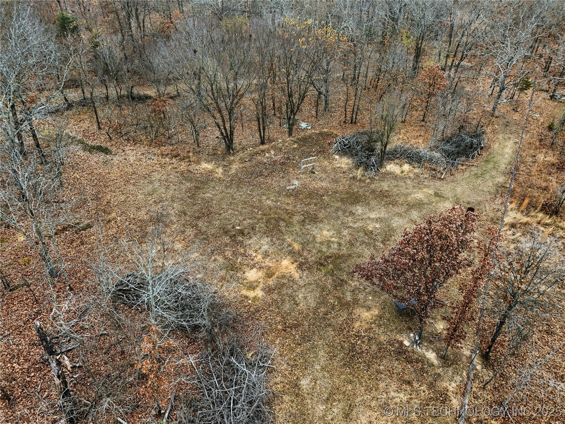 14215 E 208th Street Property Photo 93