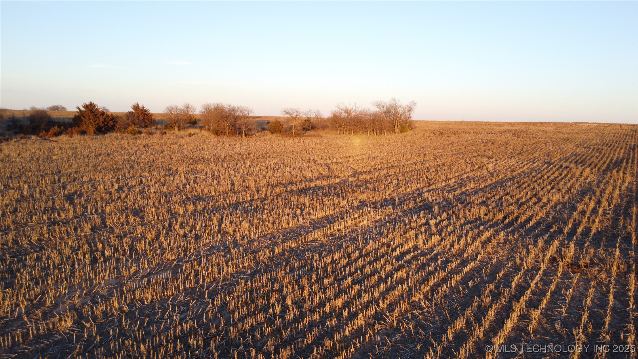 1 S 76th Street Property Photo 14