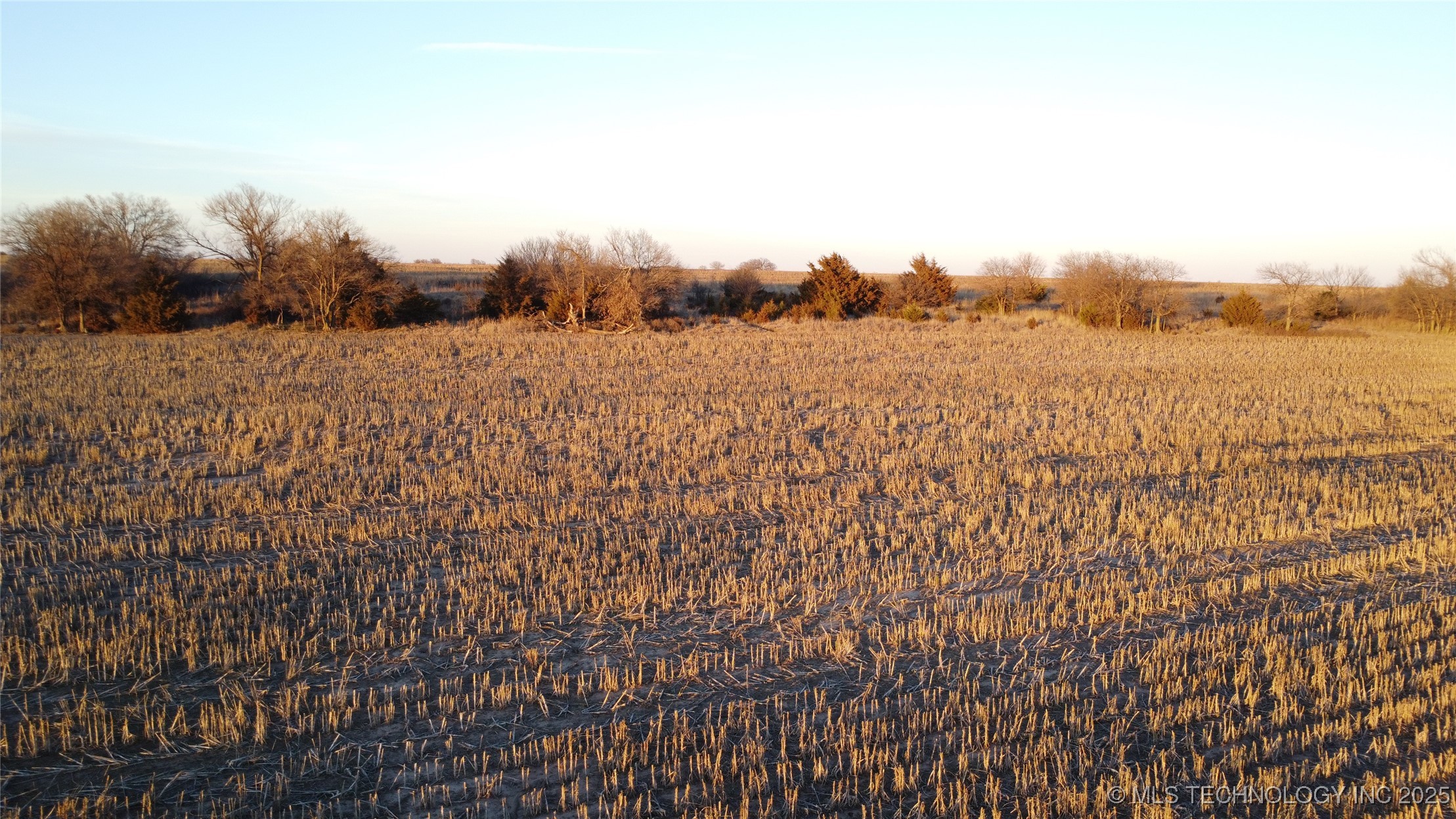 1 S 76th Street Property Photo 15