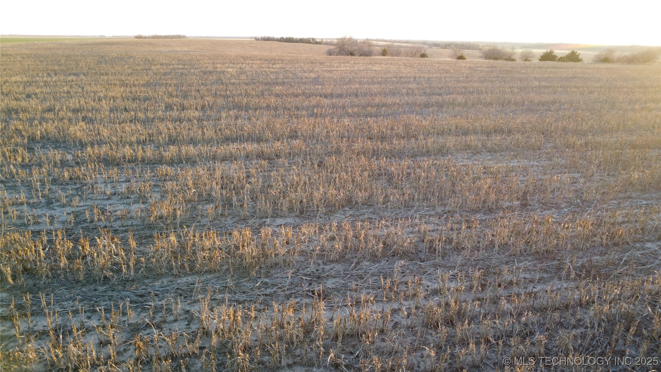 1 S 76th Street Property Photo 20