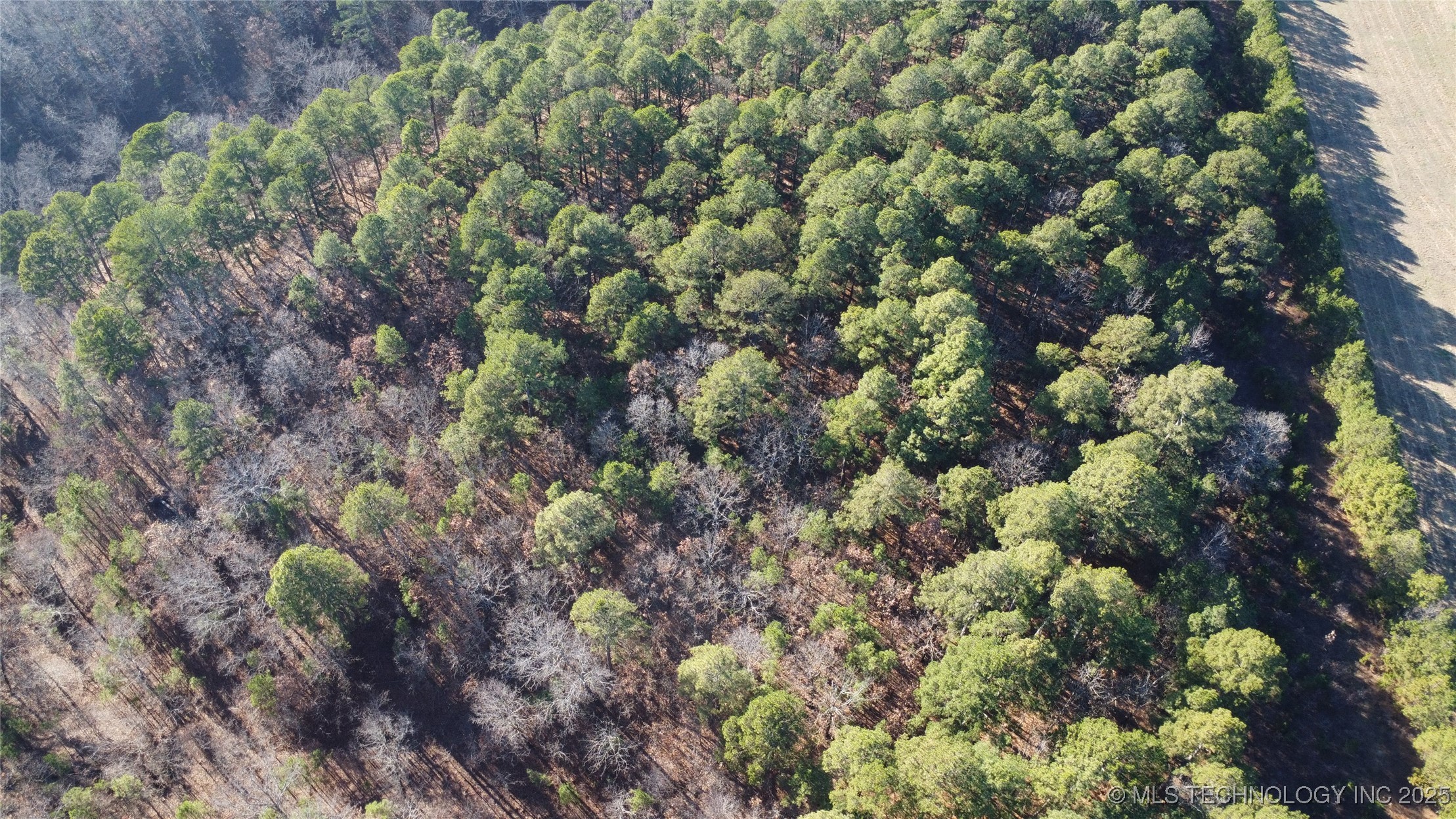 000 E 495 Road Property Photo 6