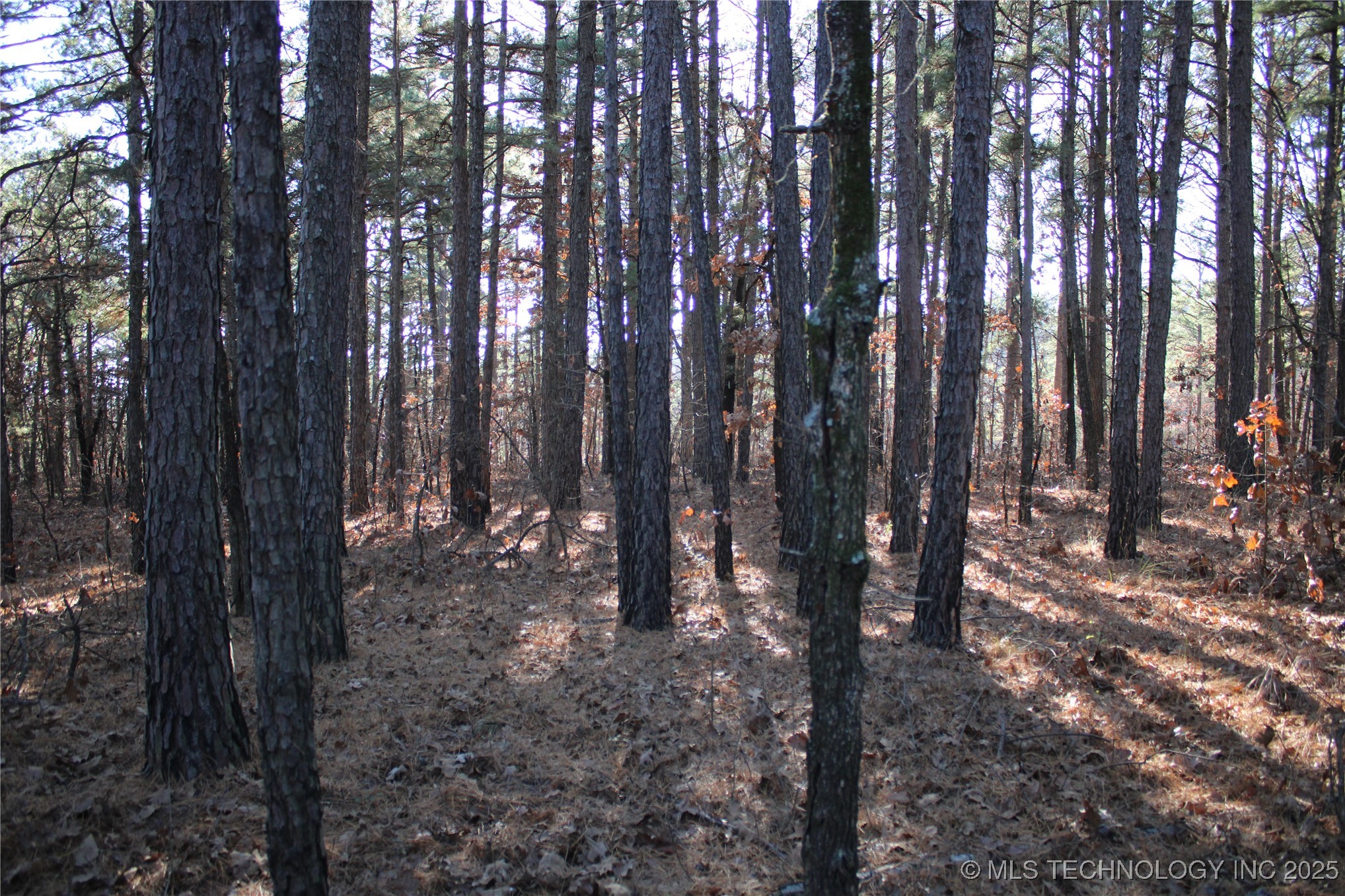 000 E 495 Road Property Photo 10