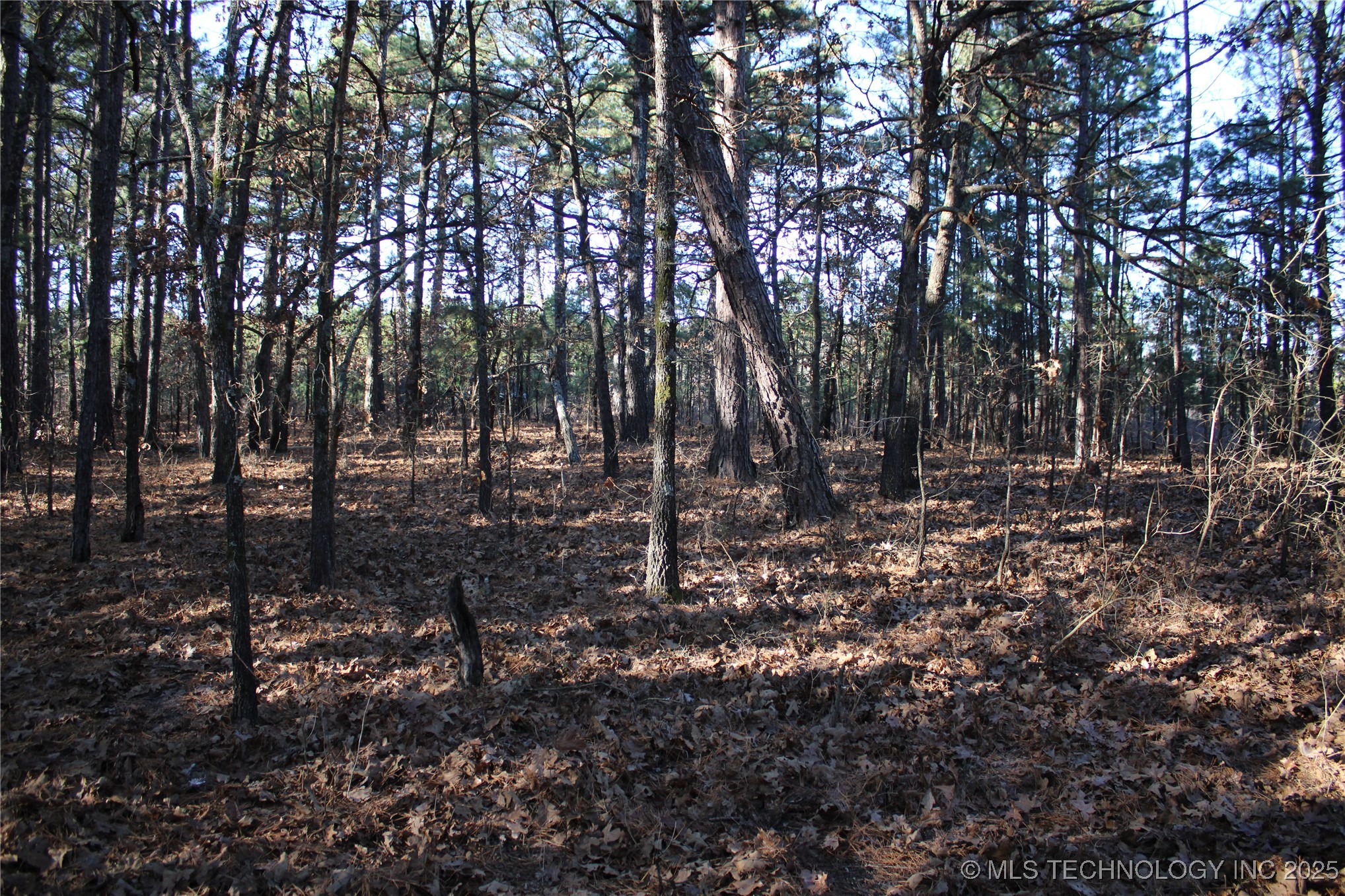 000 E 495 Road Property Photo 11