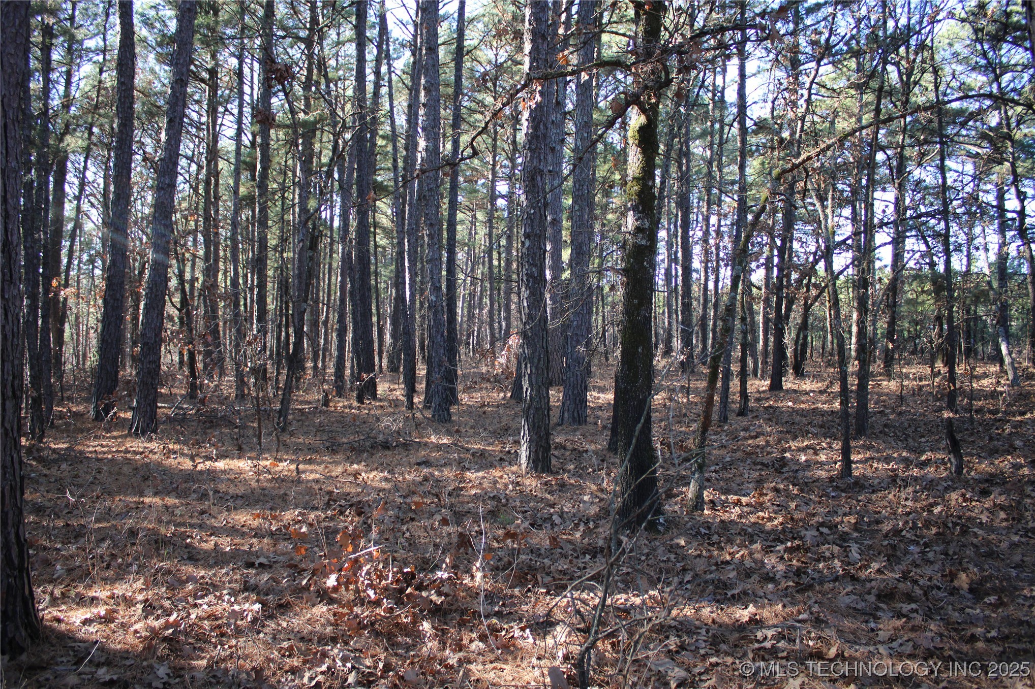 000 E 495 Road Property Photo 12