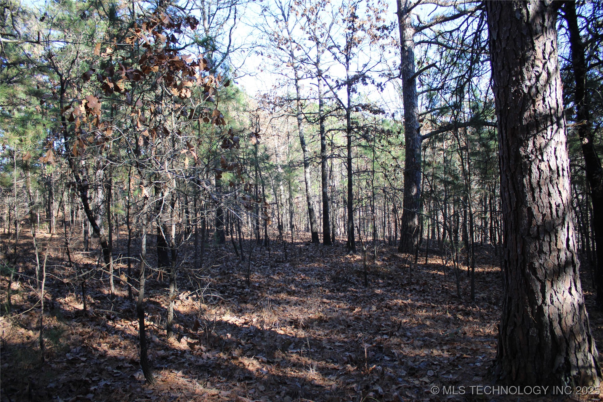 000 E 495 Road Property Photo 13