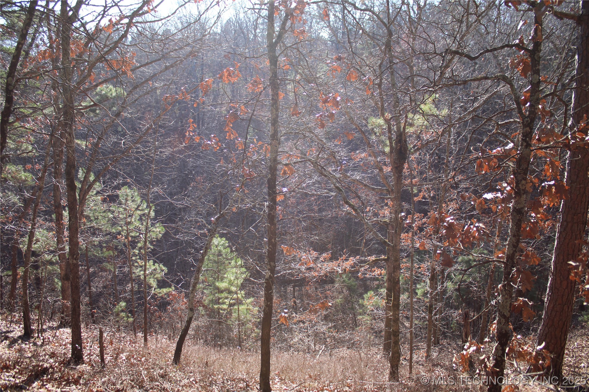 000 E 495 Road Property Photo 14