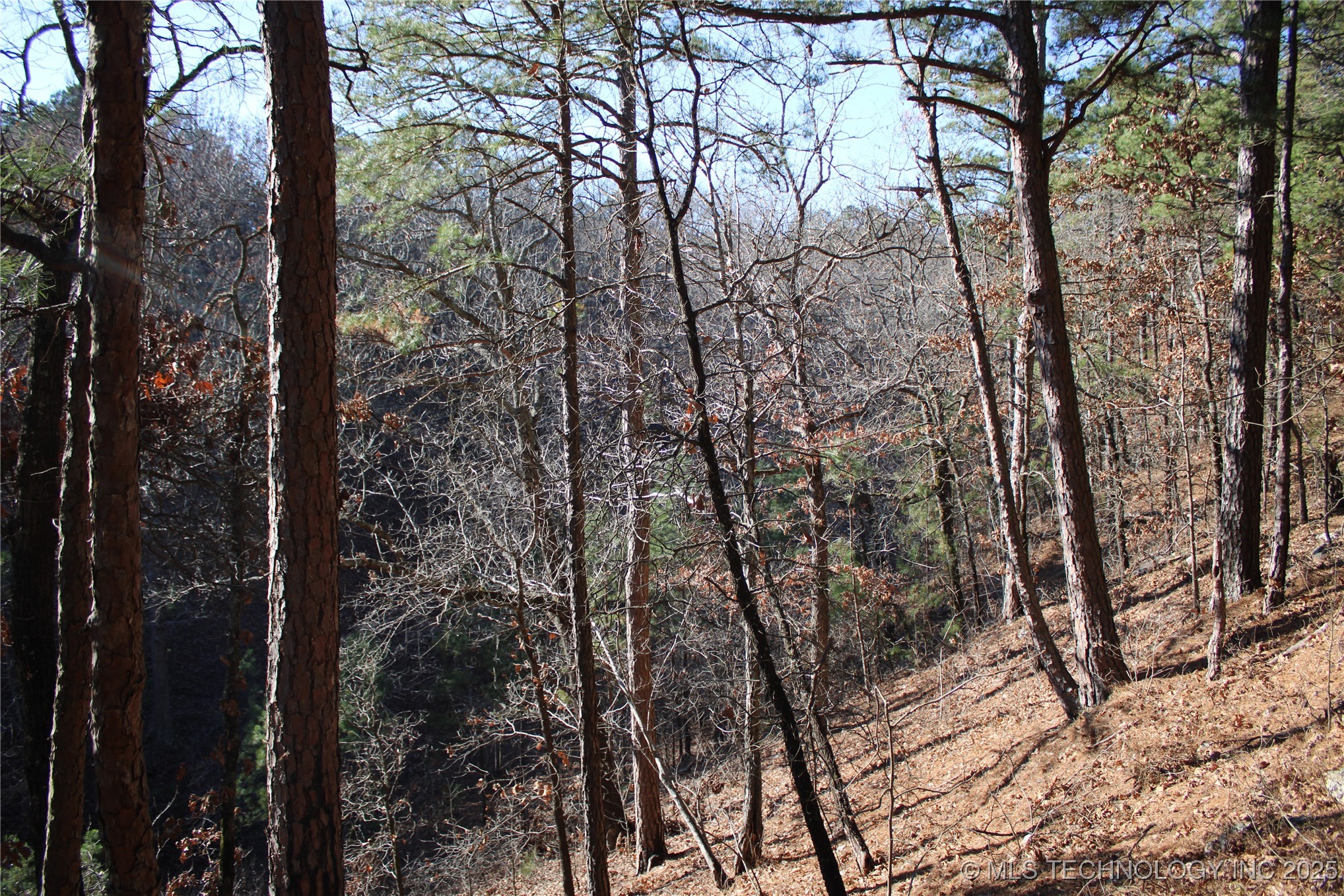 000 E 495 Road Property Photo 15