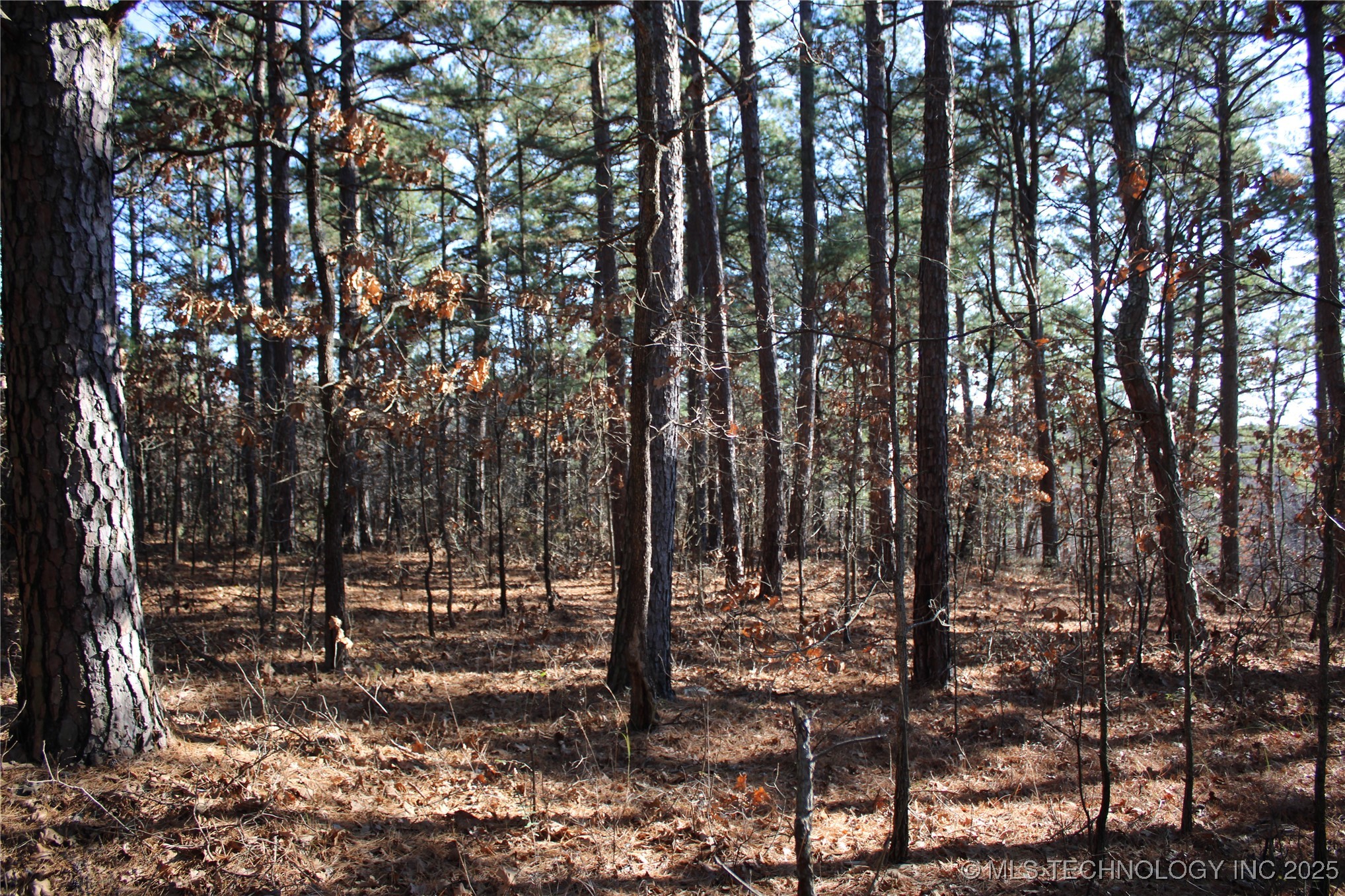 000 E 495 Road Property Photo 16