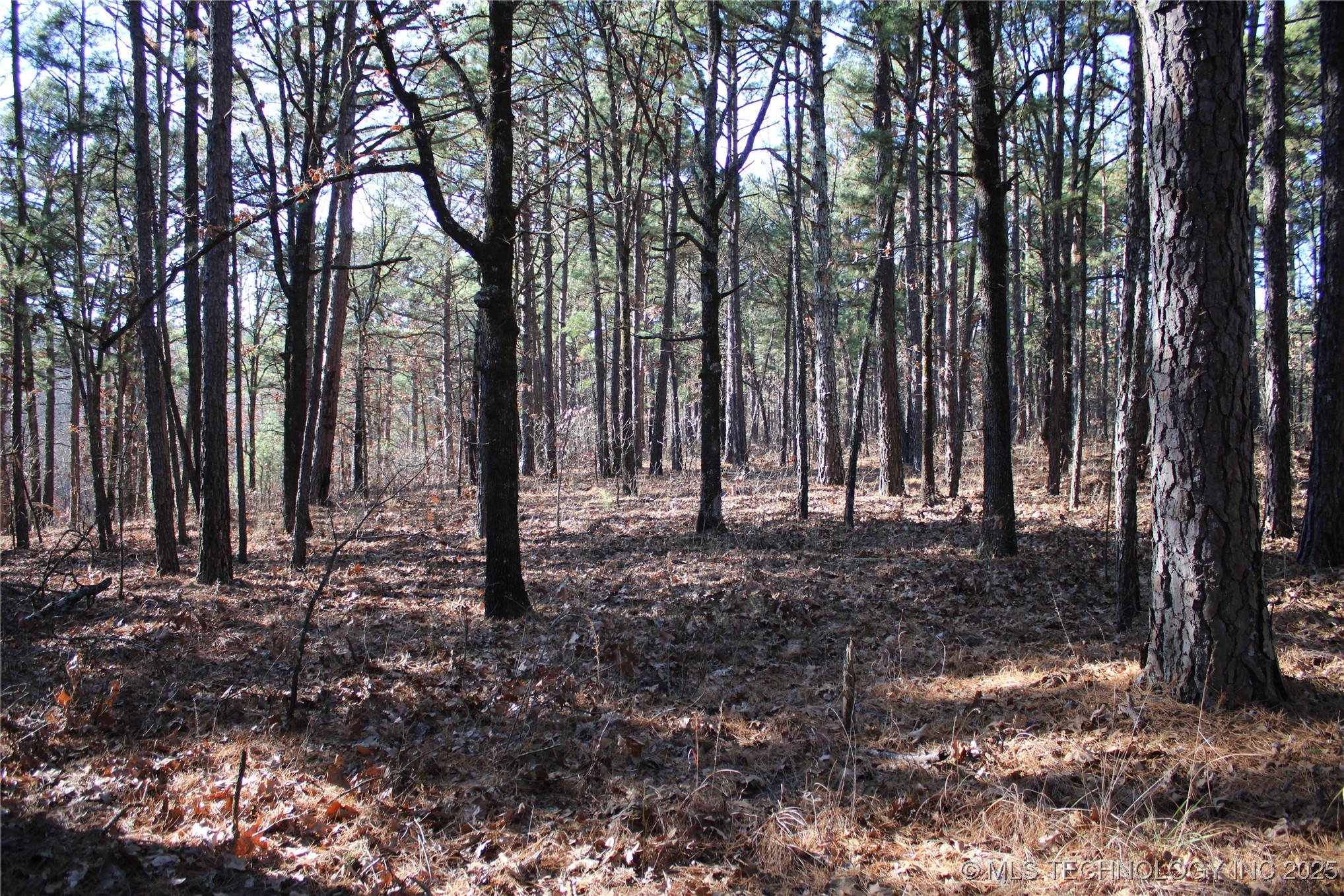 000 E 495 Road Property Photo 17