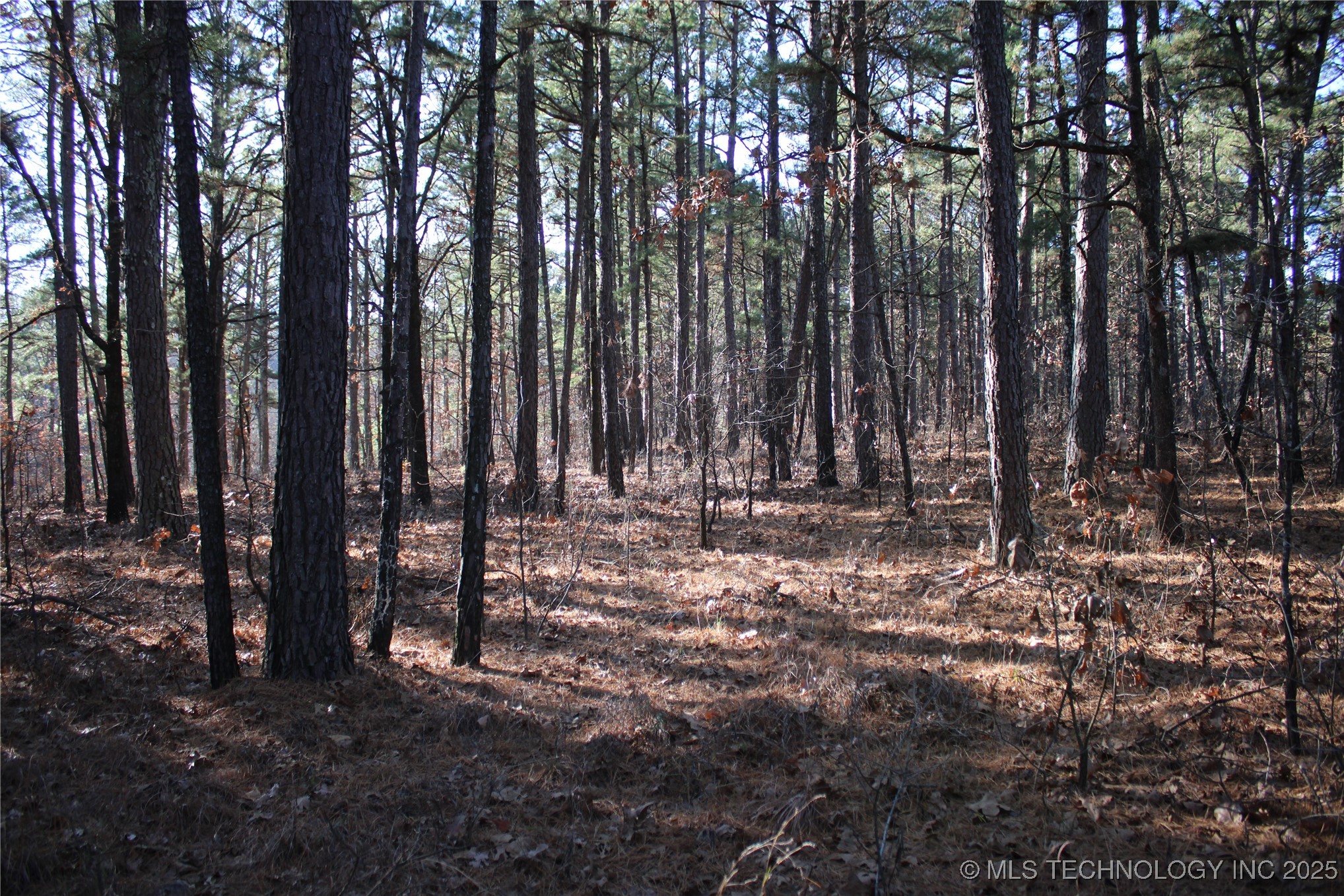 000 E 495 Road Property Photo 18