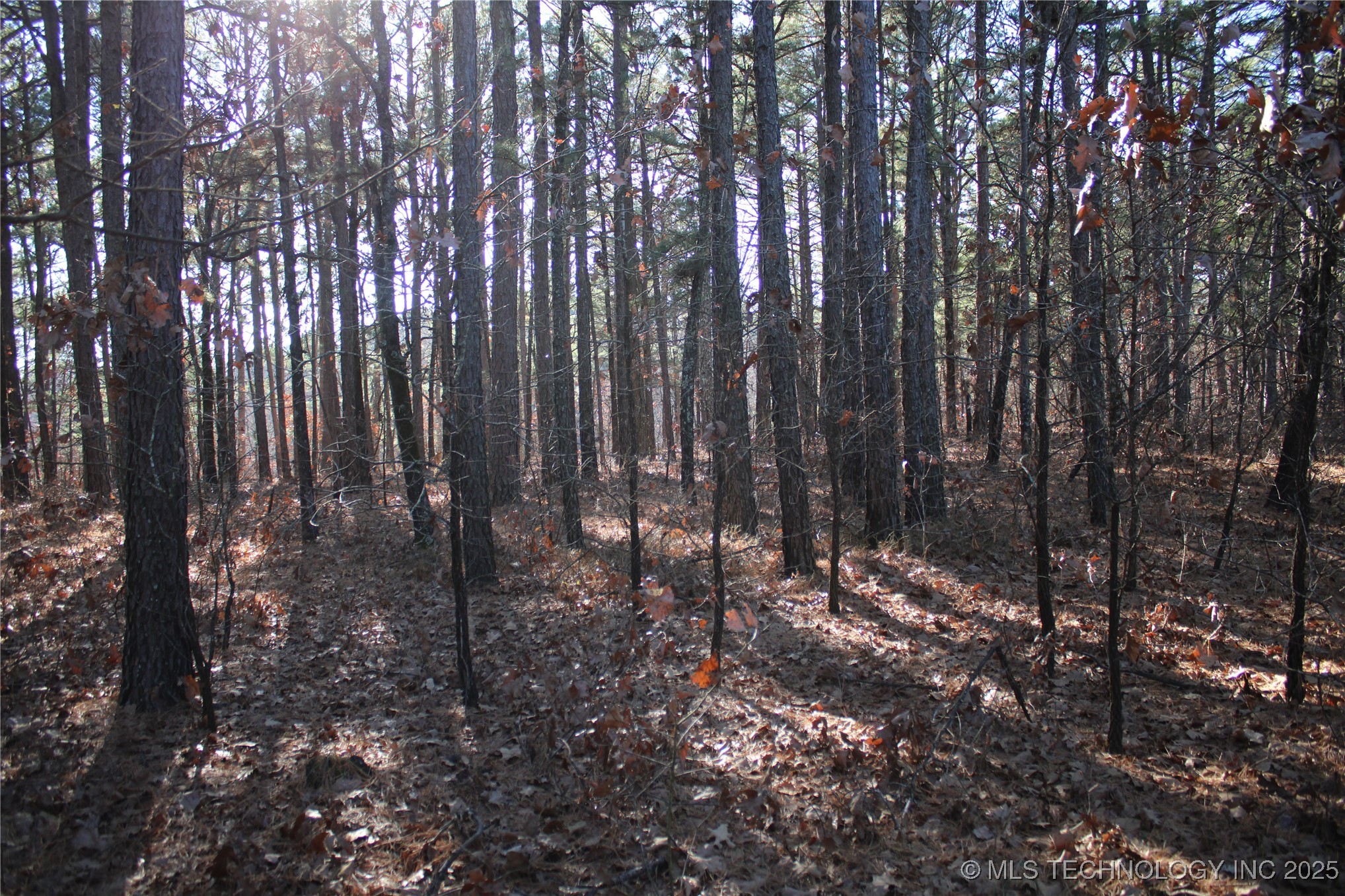 000 E 495 Road Property Photo 19