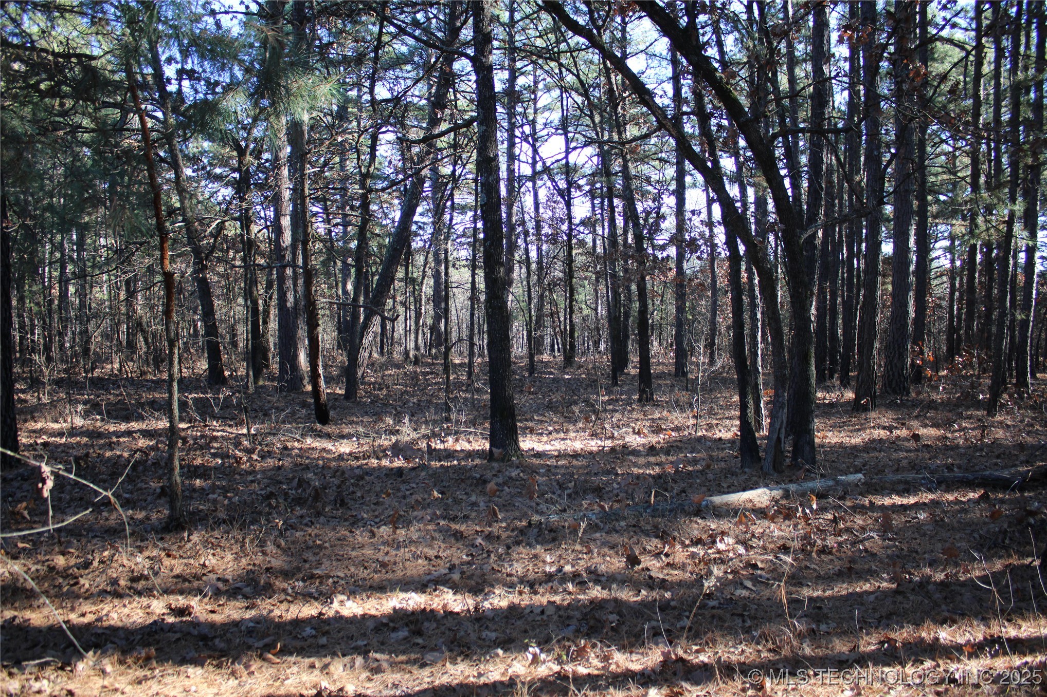 000 E 495 Road Property Photo 20