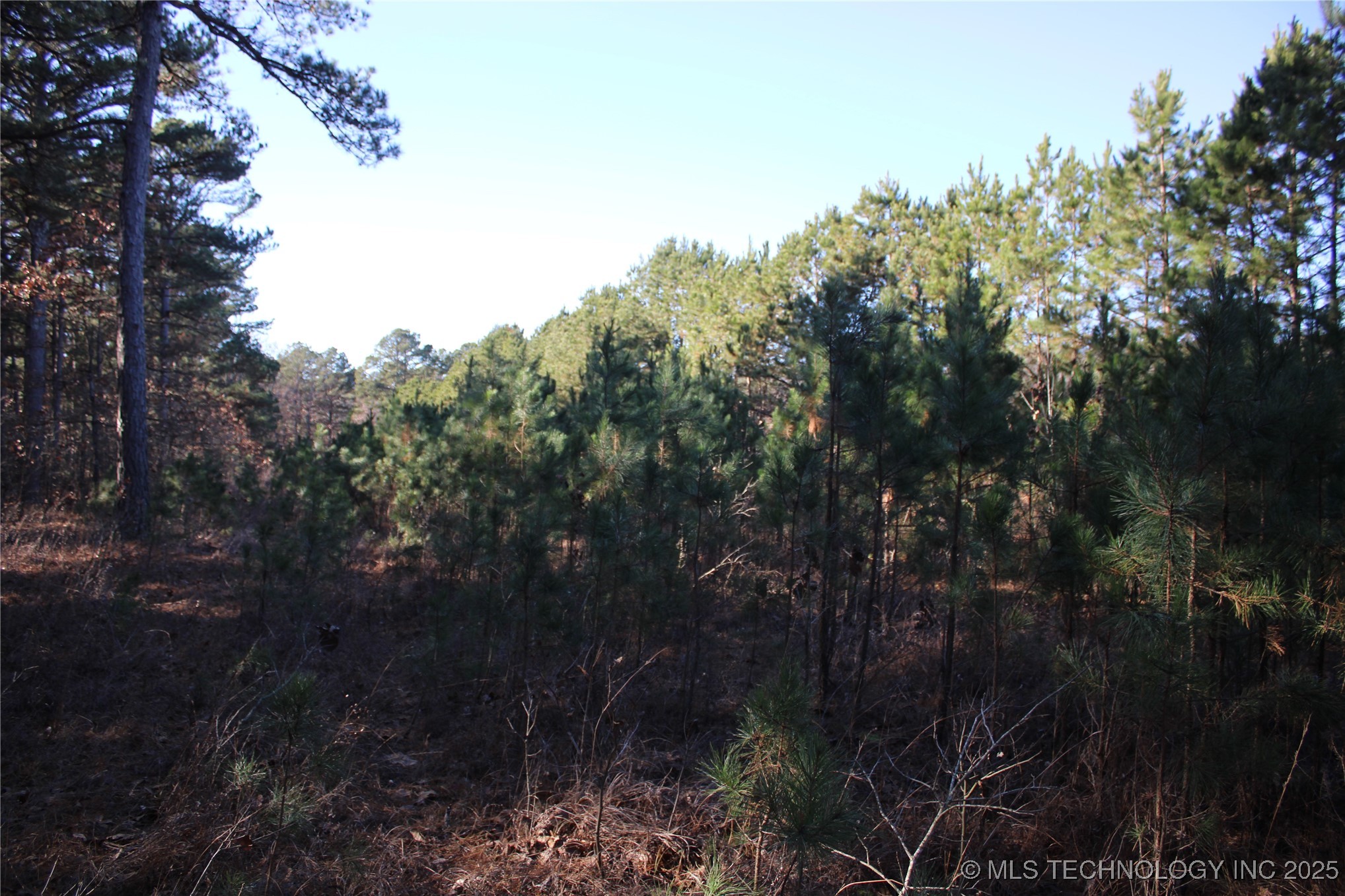 000 E 495 Road Property Photo 21