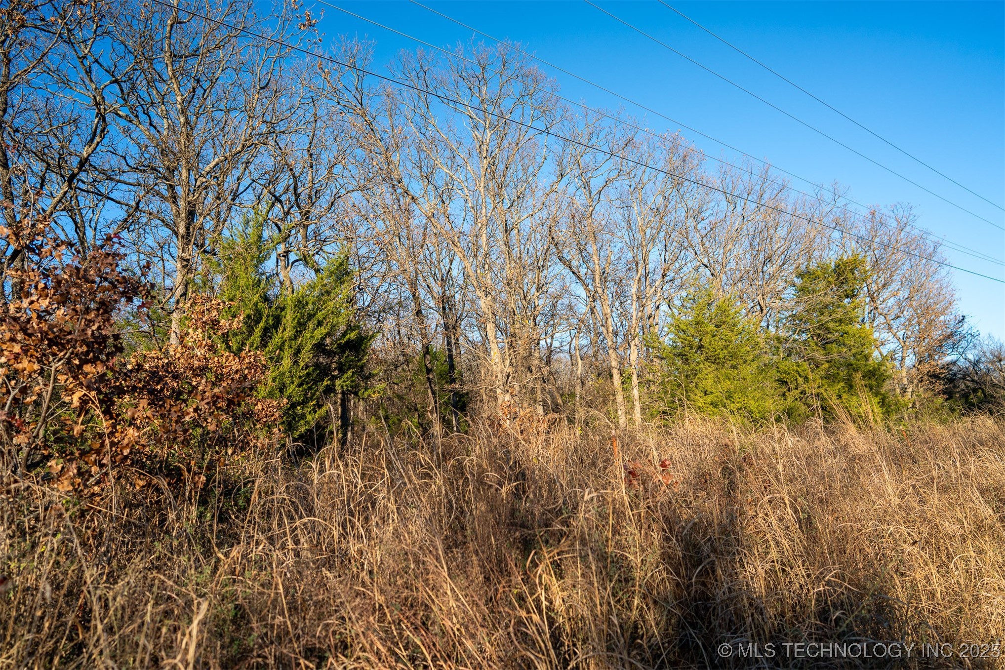 20 Seay Road Property Photo 25