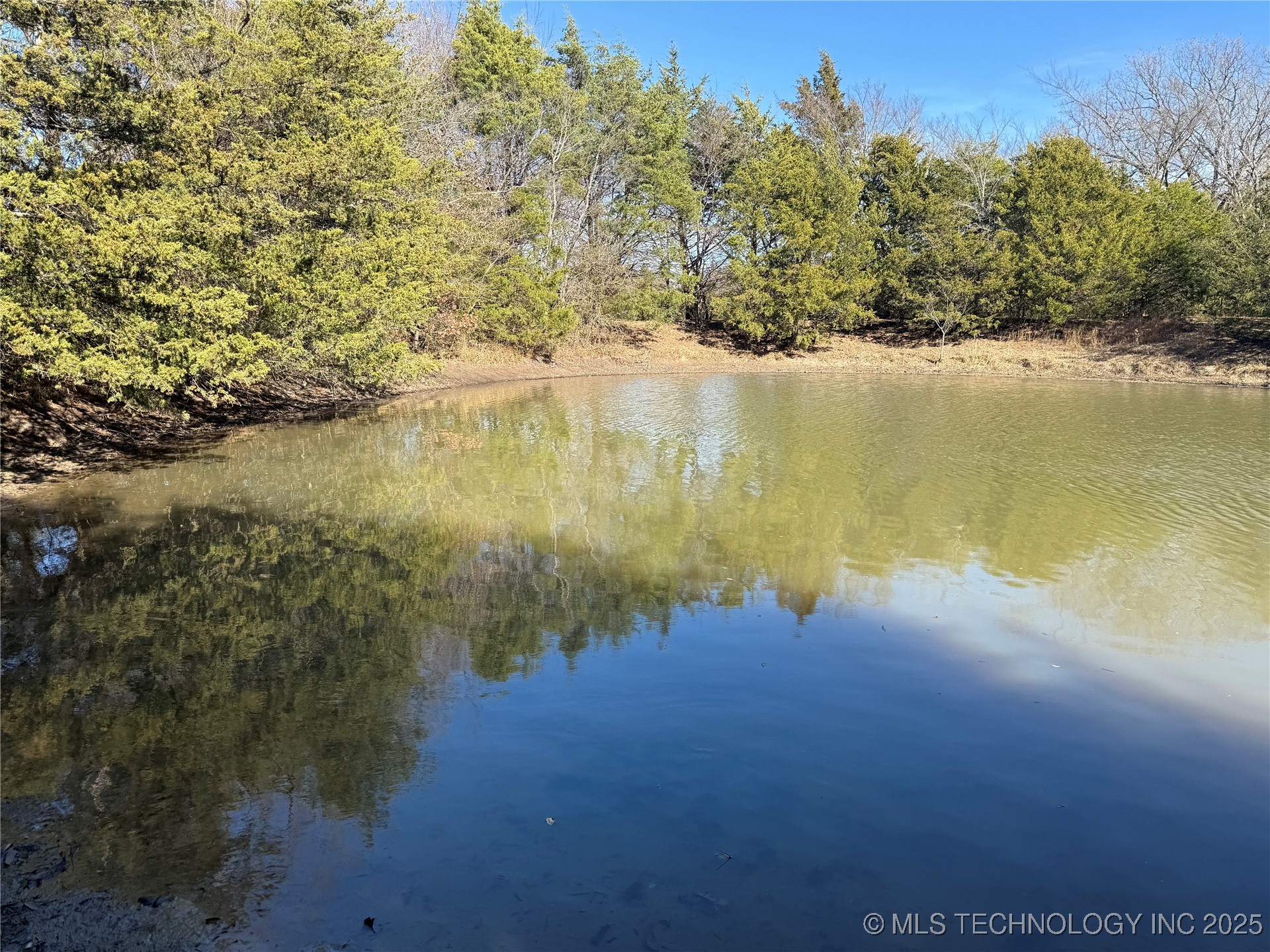 County Road 1470 Property Photo 15