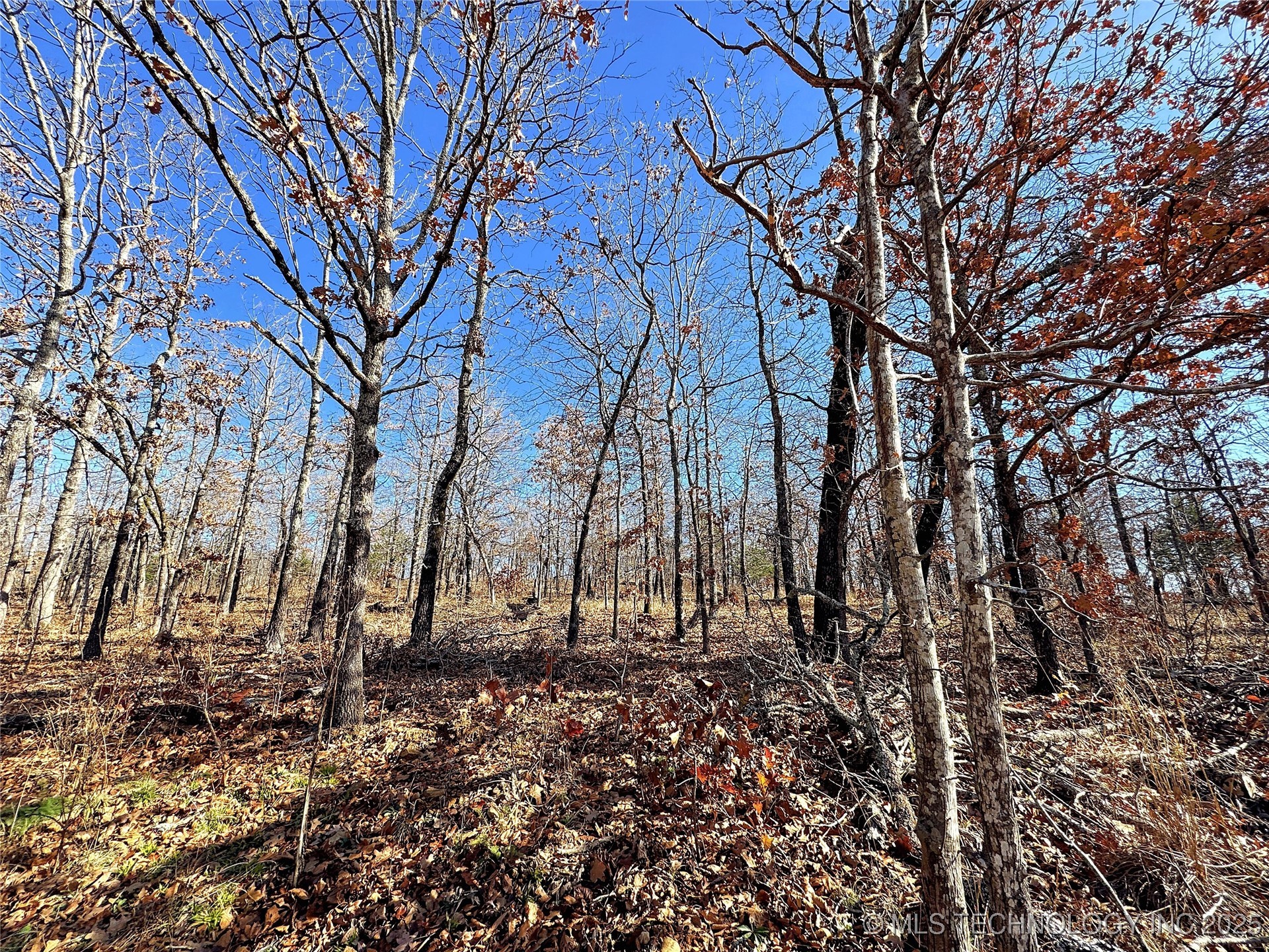 95001 S 4556 Road Property Photo 10