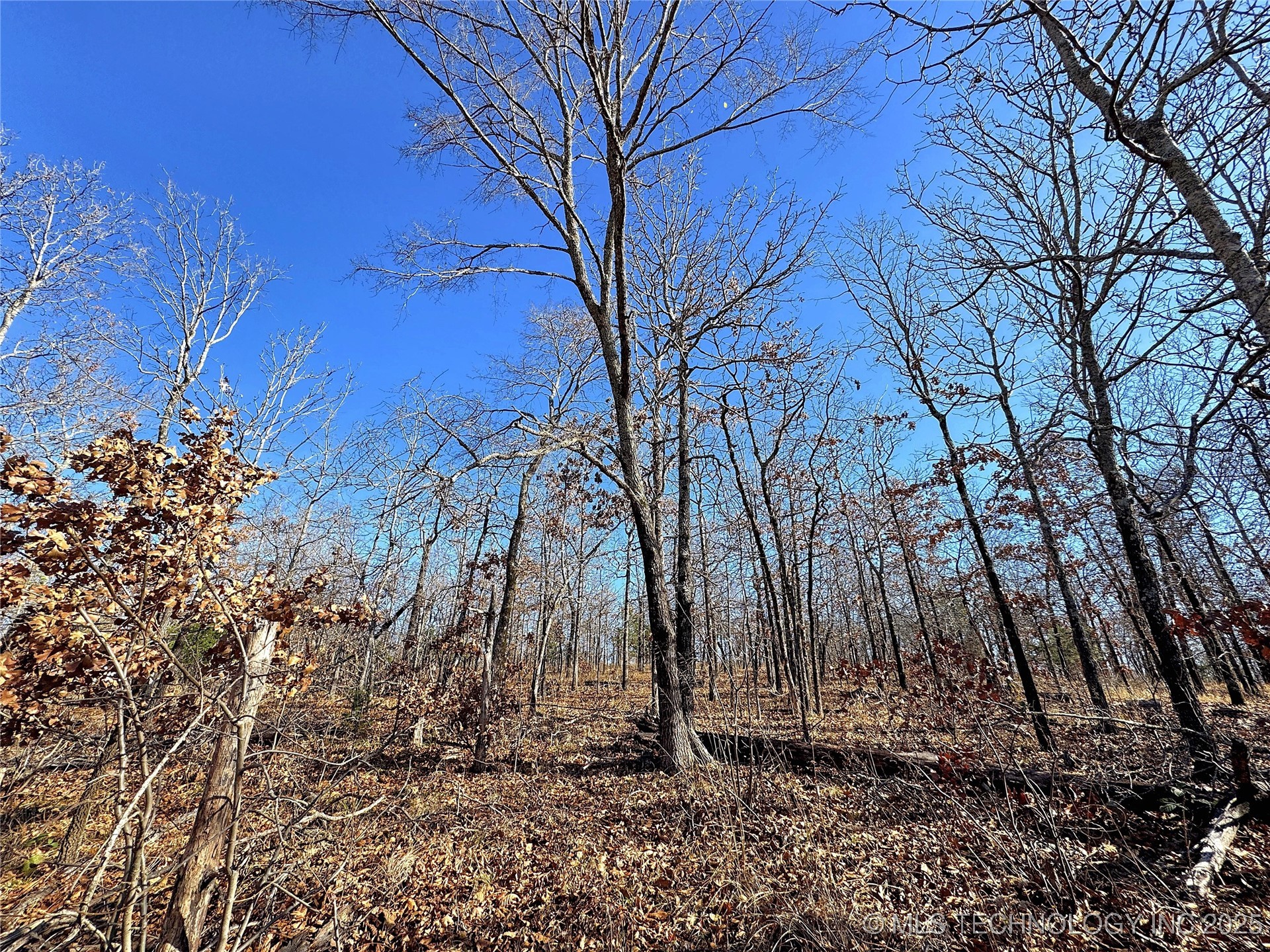 95001 S 4556 Road Property Photo 12