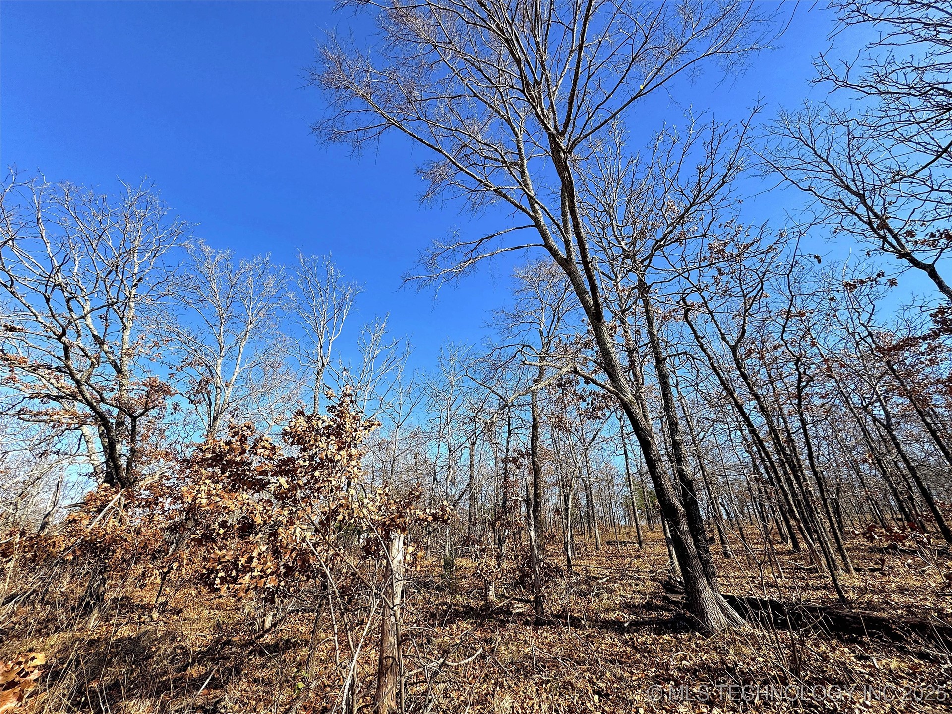 95001 S 4556 Road Property Photo 14