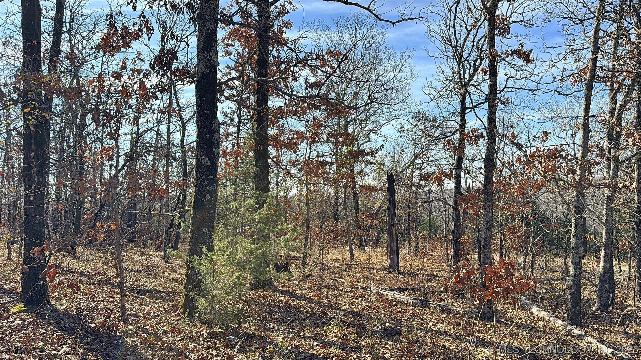 95001 S 4556 Road Property Photo 17