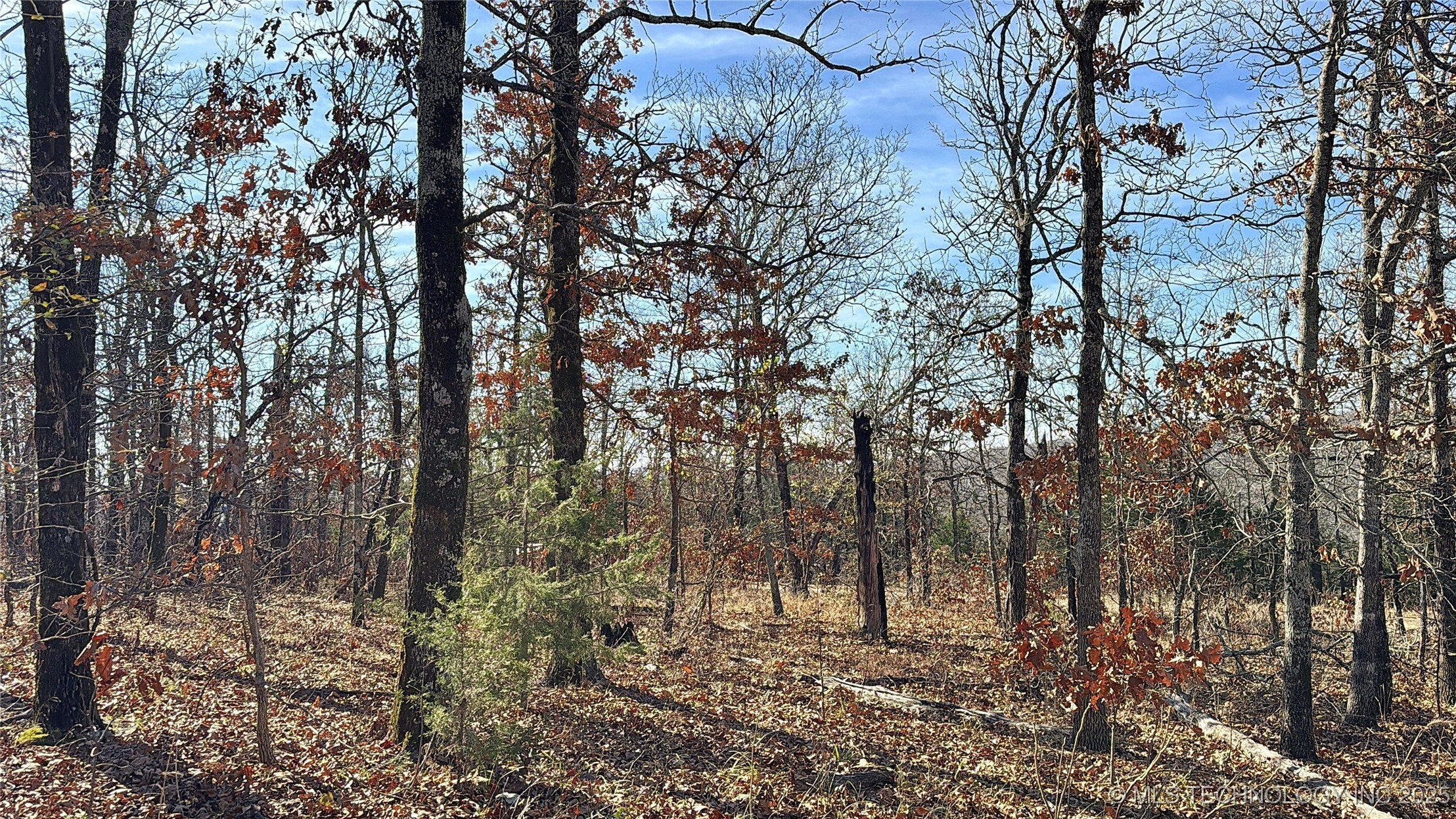 95001 S 4556 Road Property Photo 21