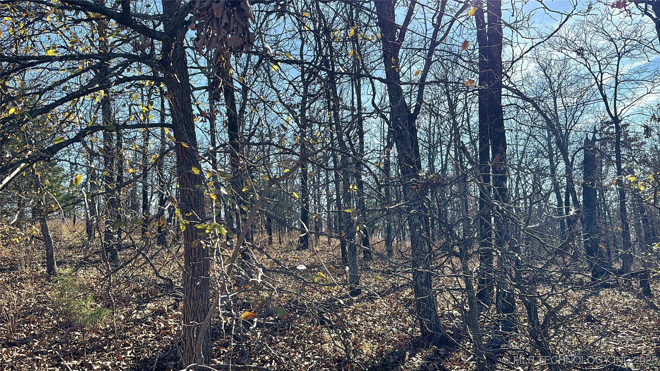 95001 S 4556 Road Property Photo 22