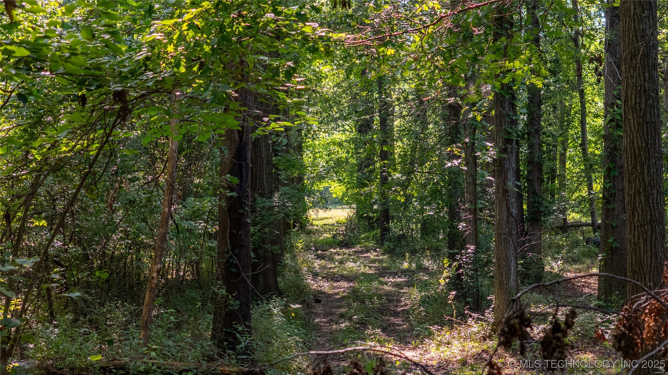 12424 S 185th Street Property Photo 7