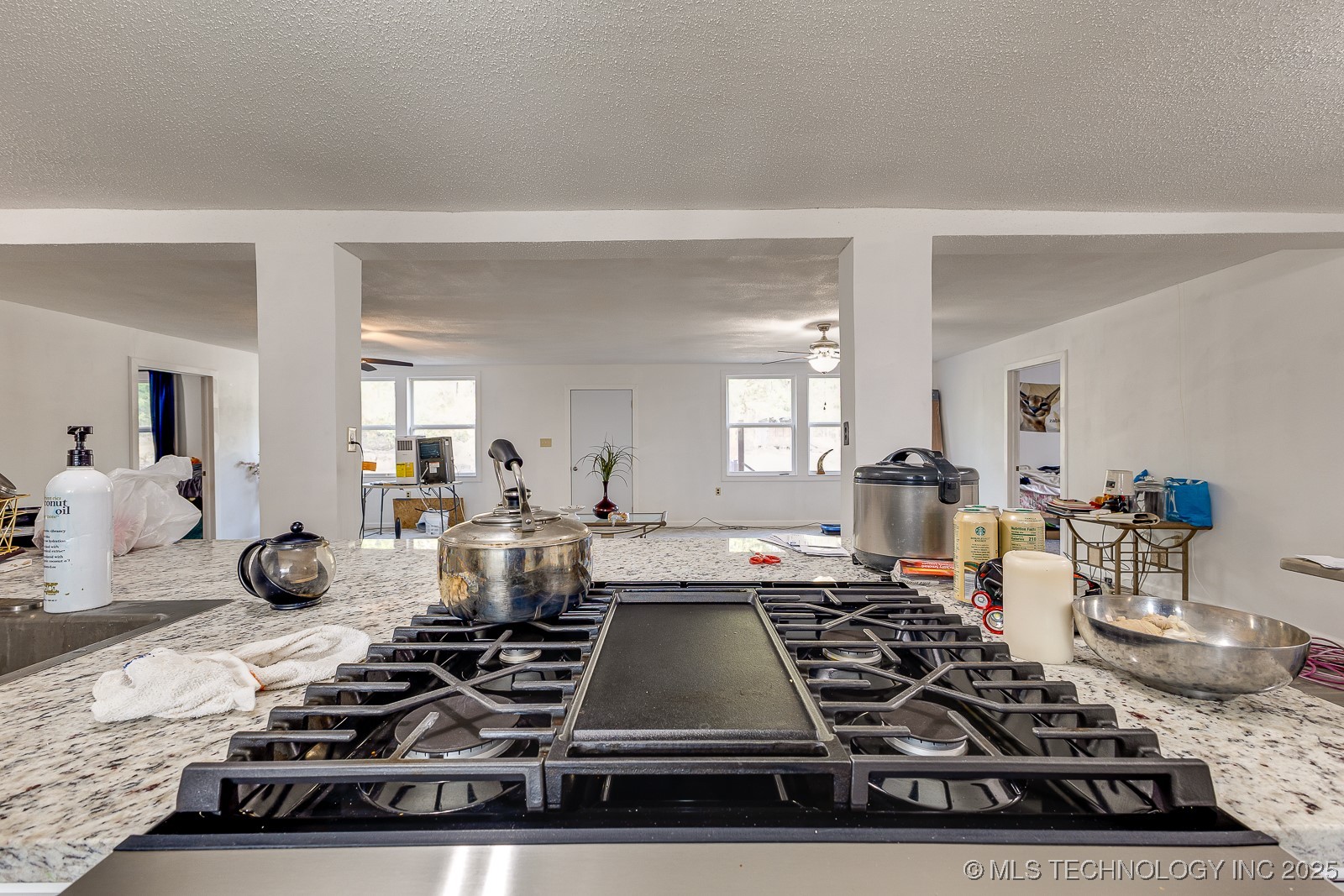 450770 E 960 Road S Property Photo 16