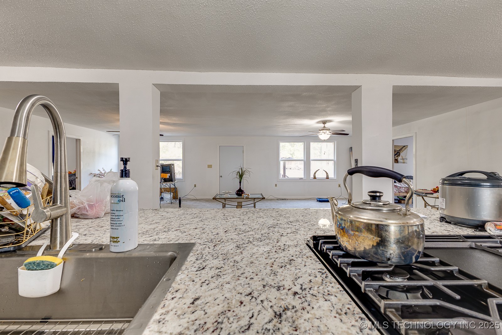 450770 E 960 Road S Property Photo 17